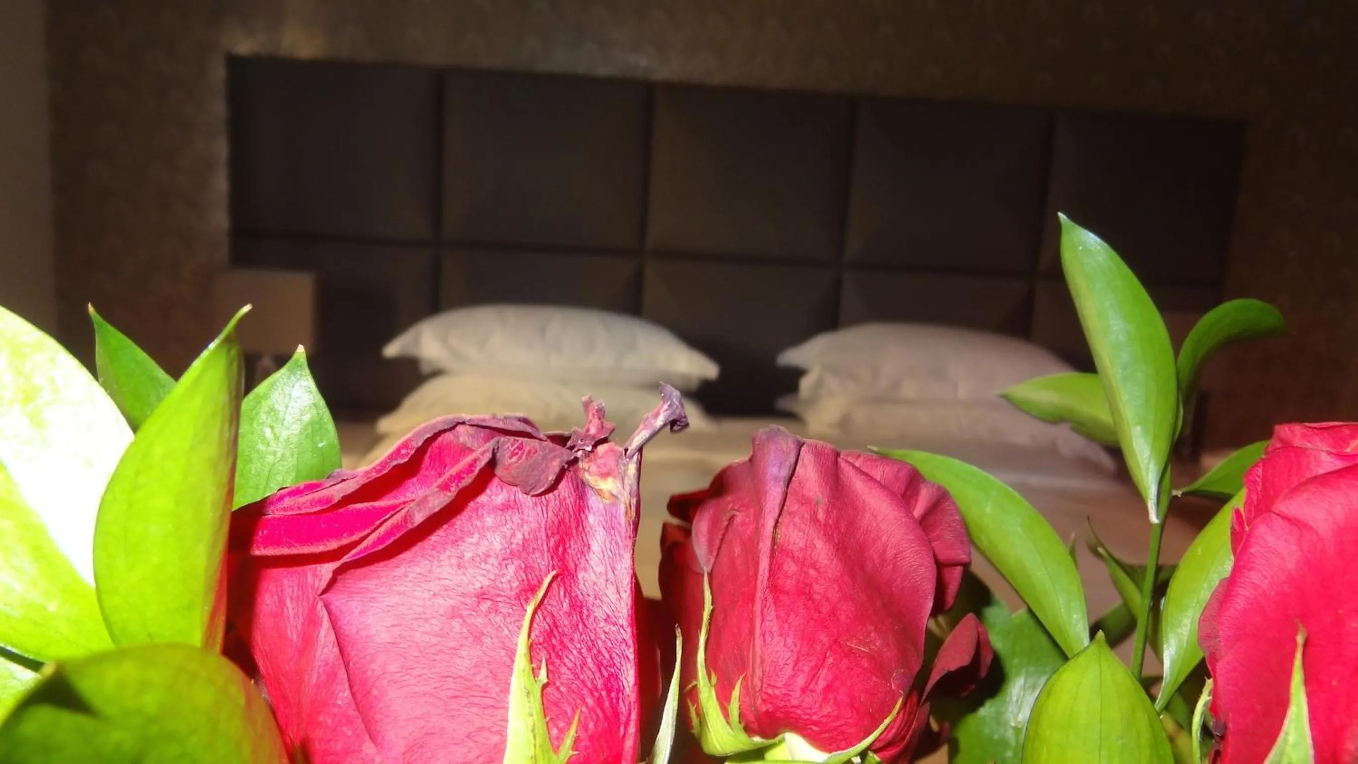 Decorative detail in Augustana House and Suites