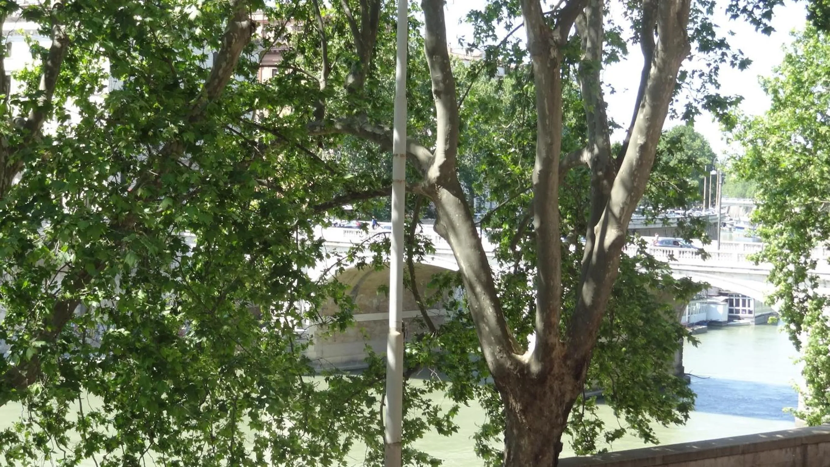 River view in Augustana House and Suites