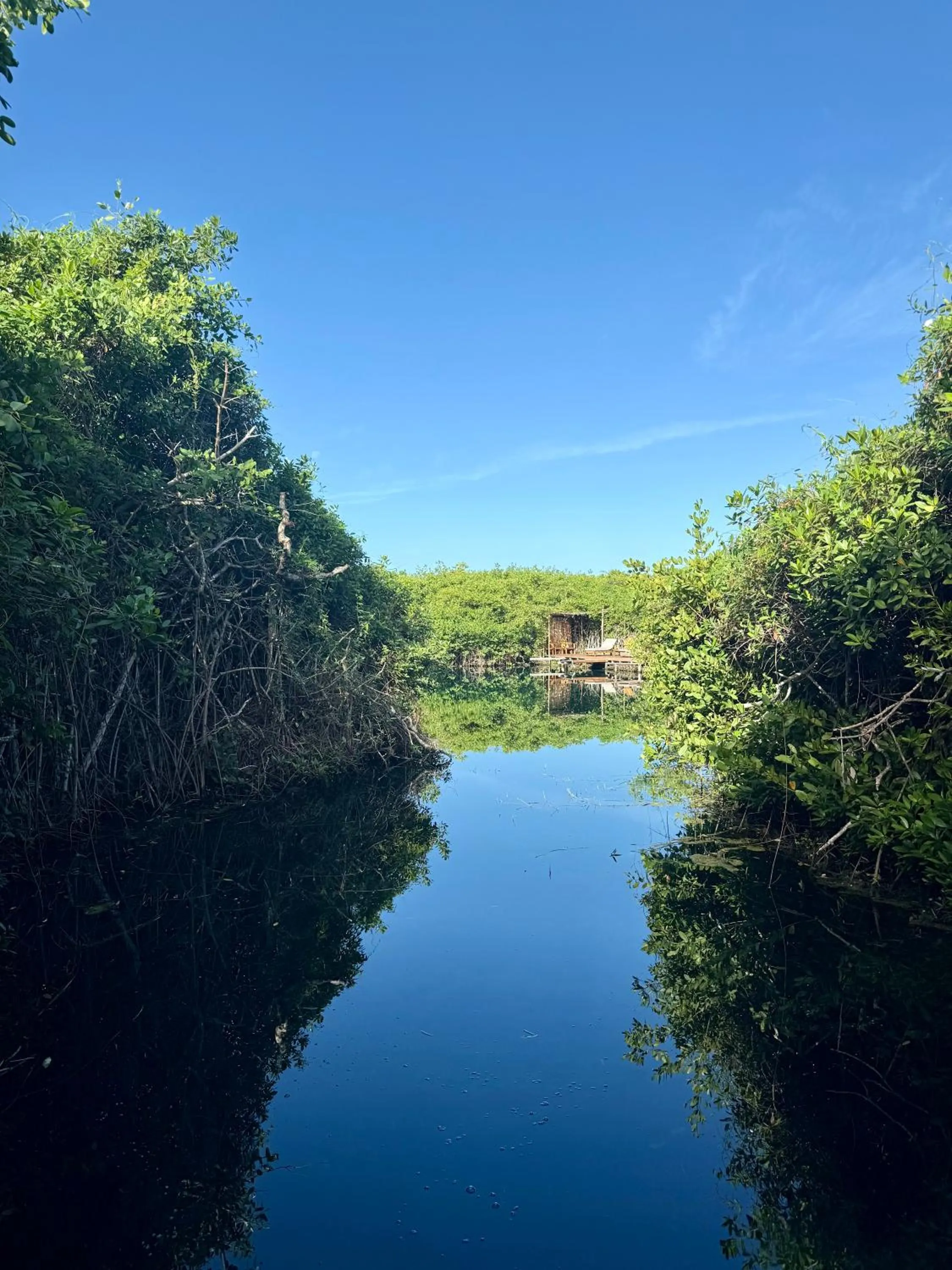 Cabañas Tulum - Aldea Mangle & Cenote