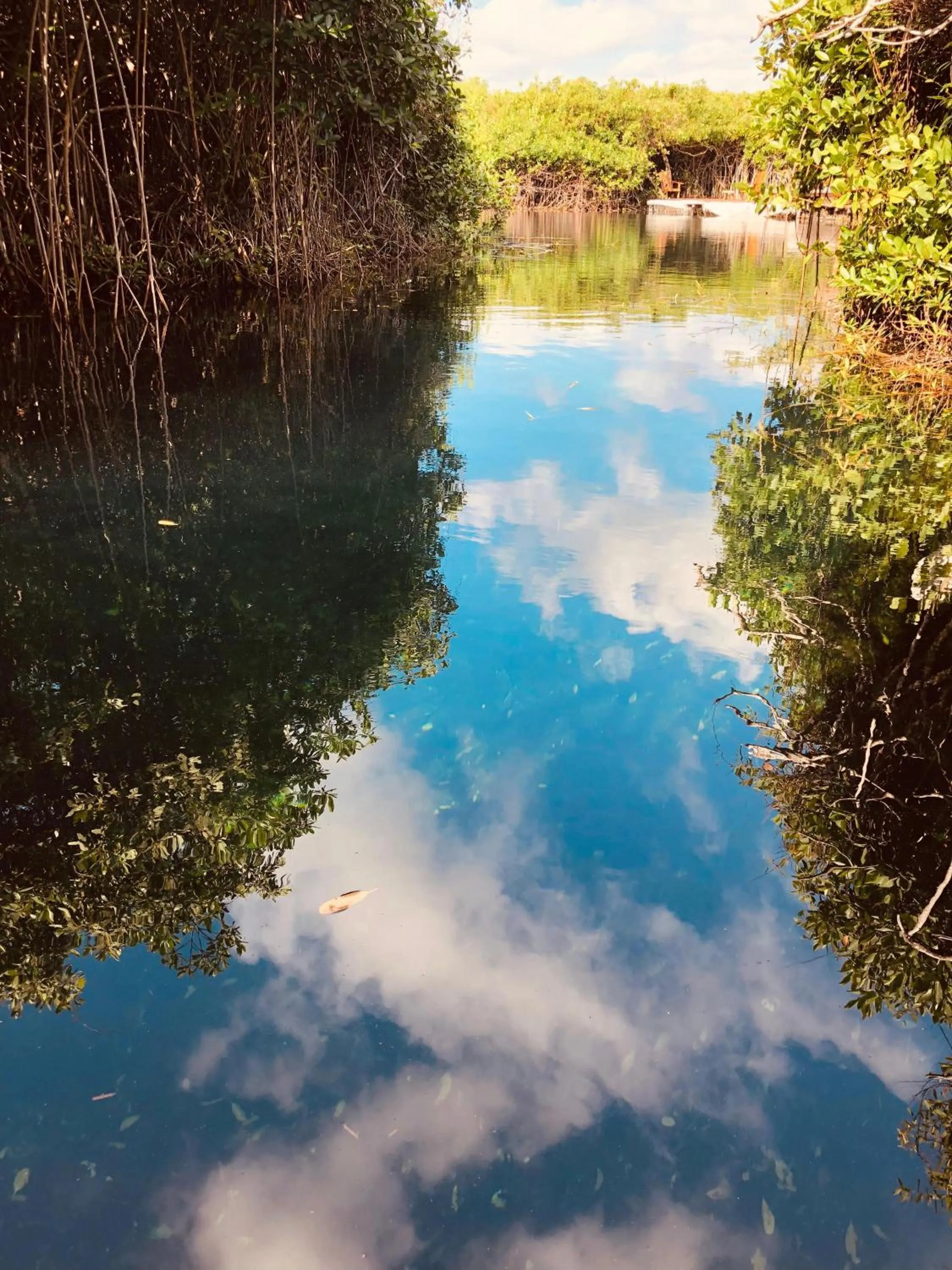 Day in Cabañas Tulum - Aldea Mangle & Cenote