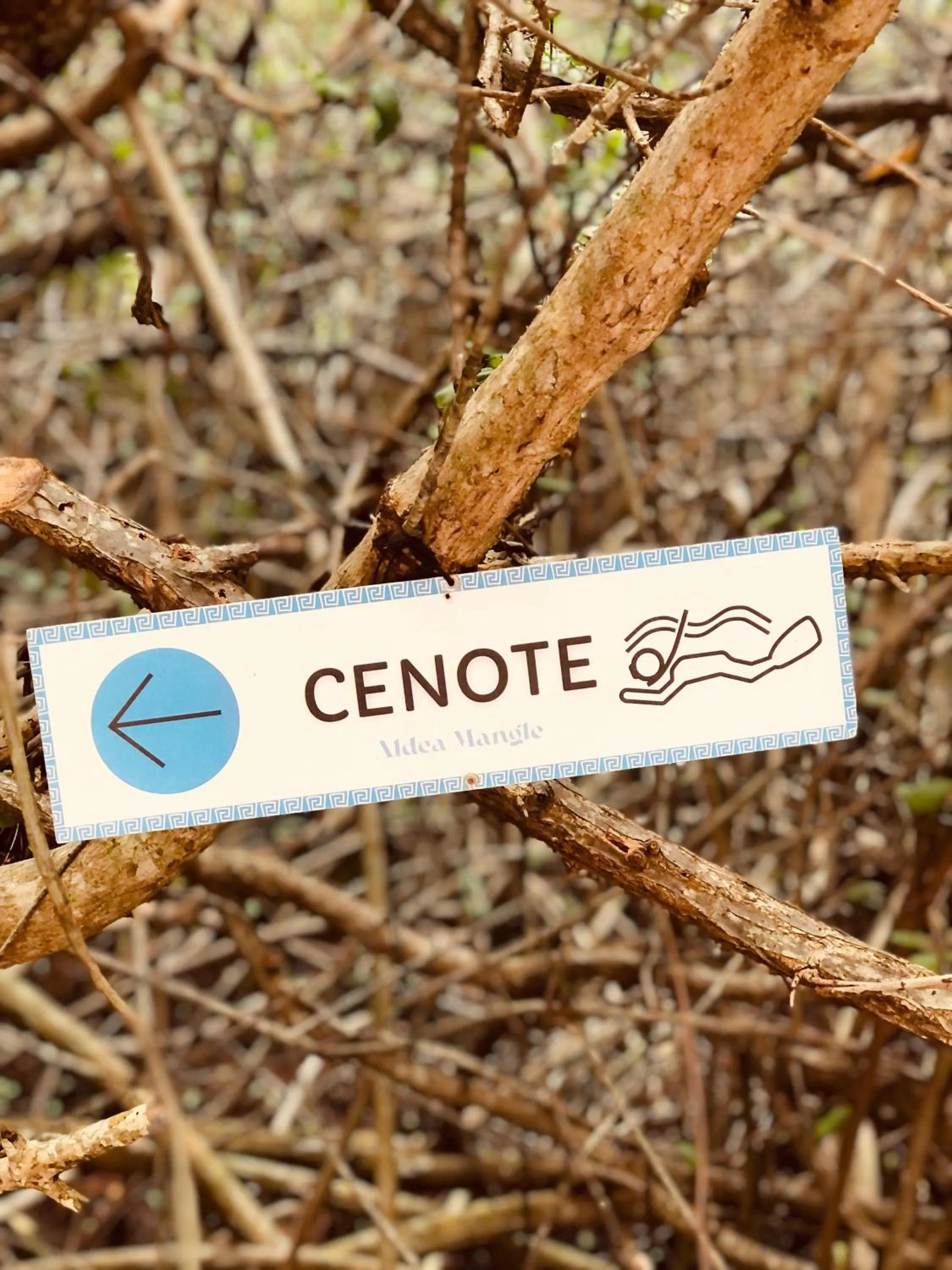 Property logo or sign in Cabañas Tulum - Aldea Mangle & Cenote