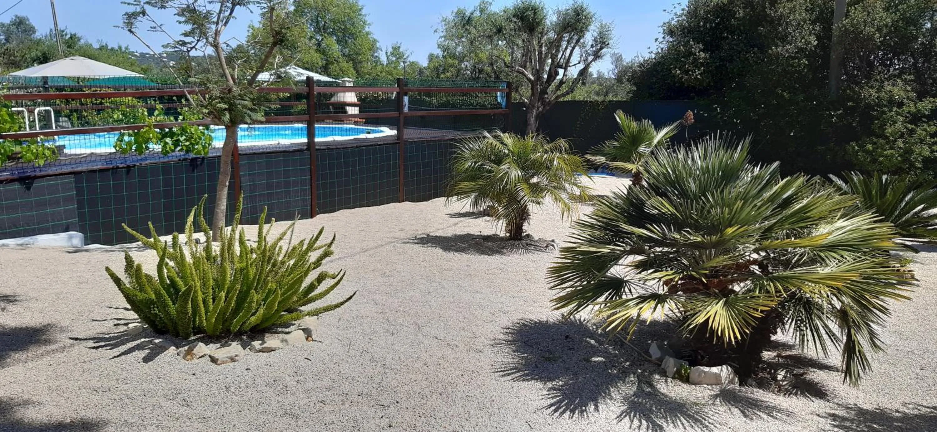 Garden in ApraHouseLoule Guesthouse