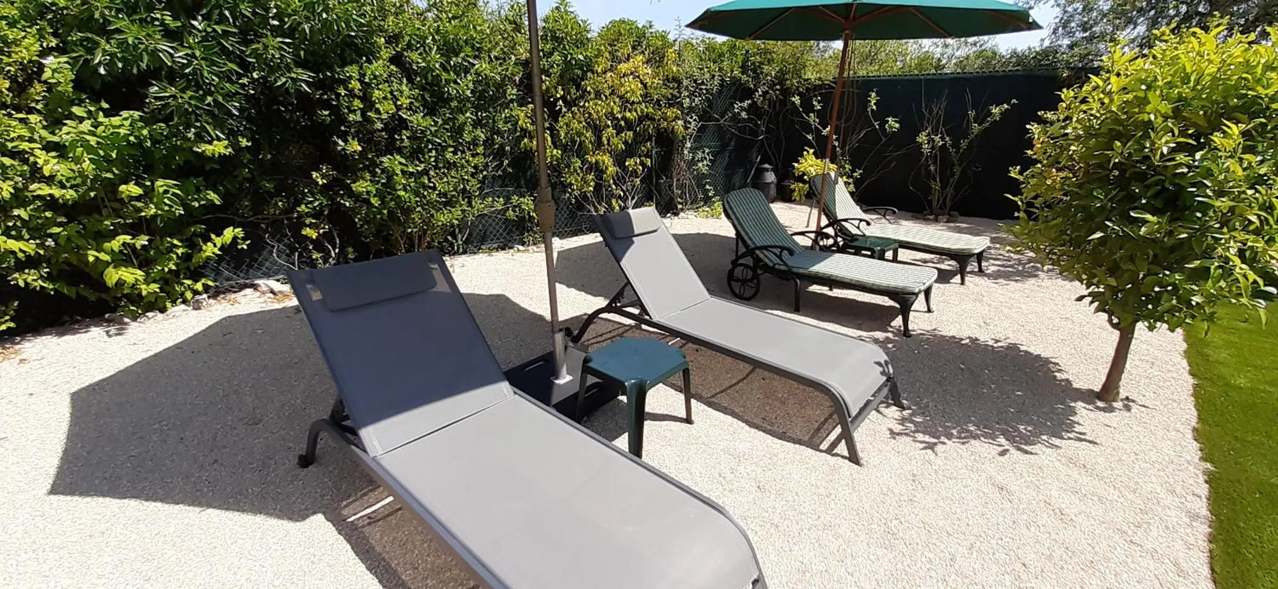 Garden in ApraHouseLoule Guesthouse