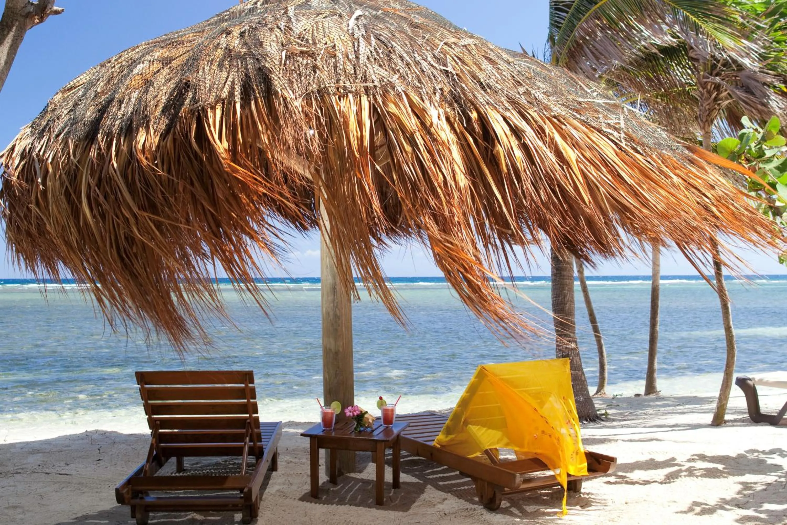 Natural landscape in Barefoot Cay Resort