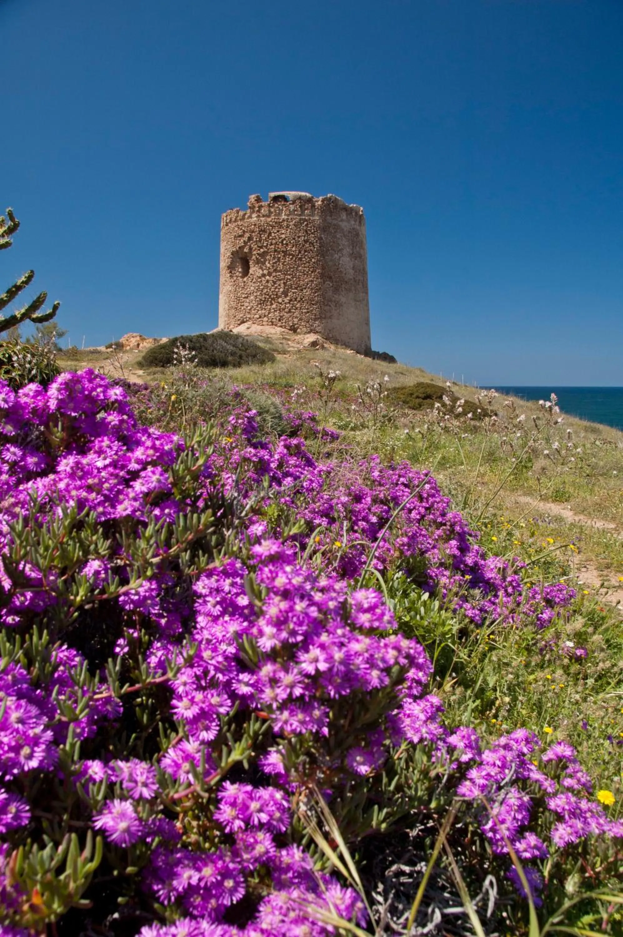 Nearby landmark in A.I.R. Hotel Gabbiano