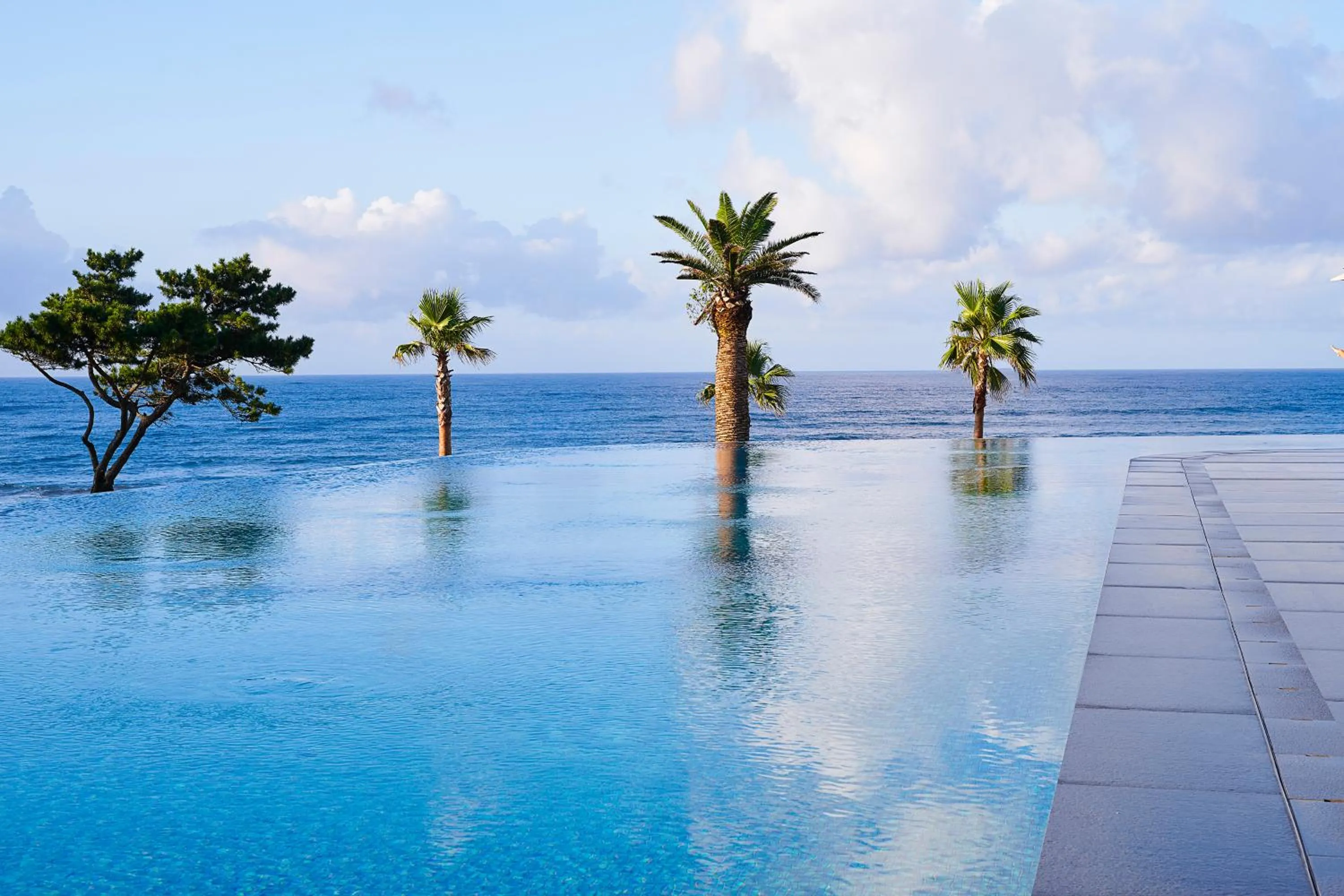 Swimming pool in Parnas Hotel Jeju