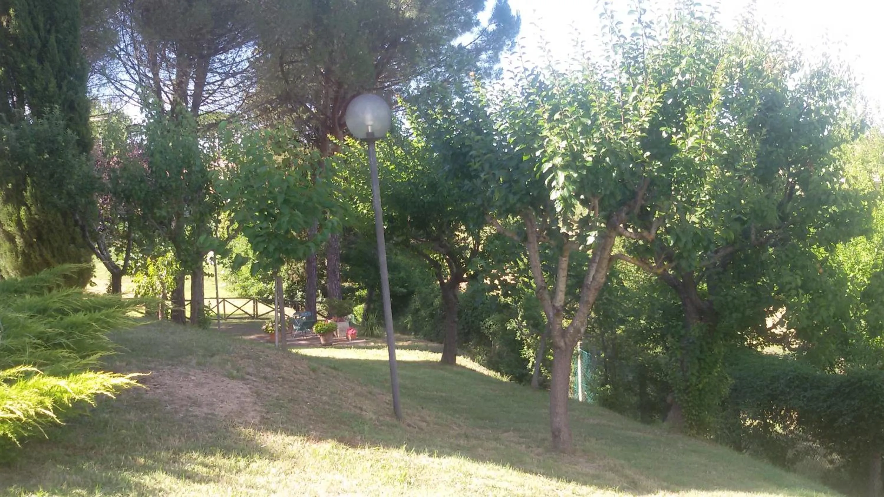 Garden view in Hotel Primavera