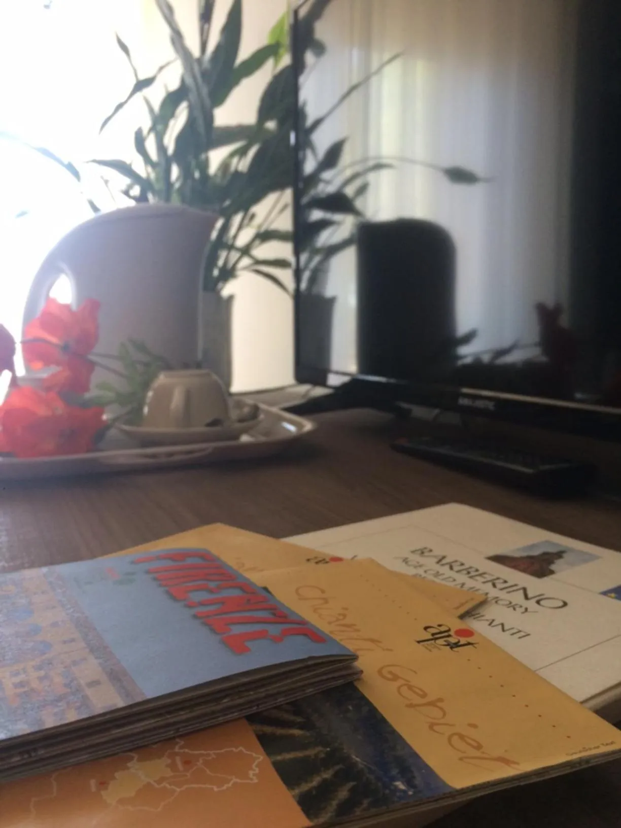 Living room in Hotel Primavera