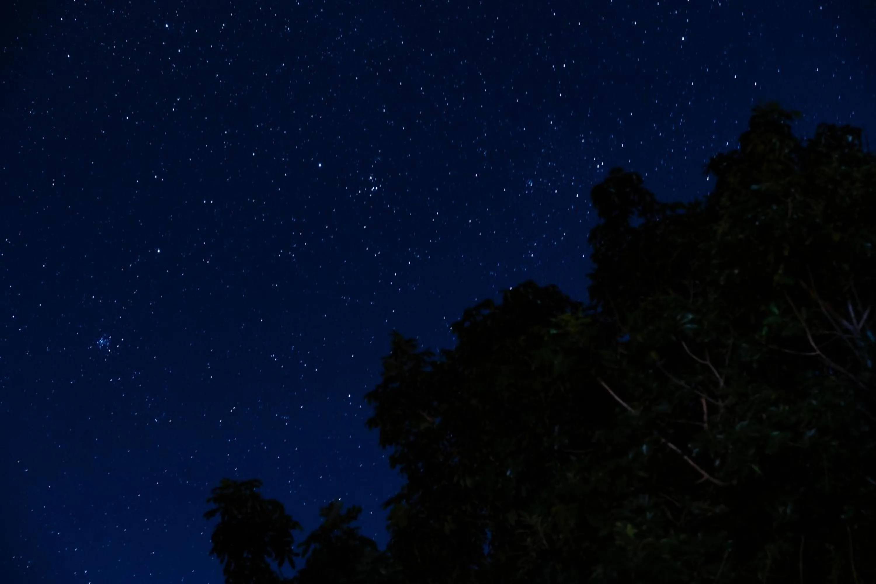 Night in Crocodile Bridge Safari Lodge