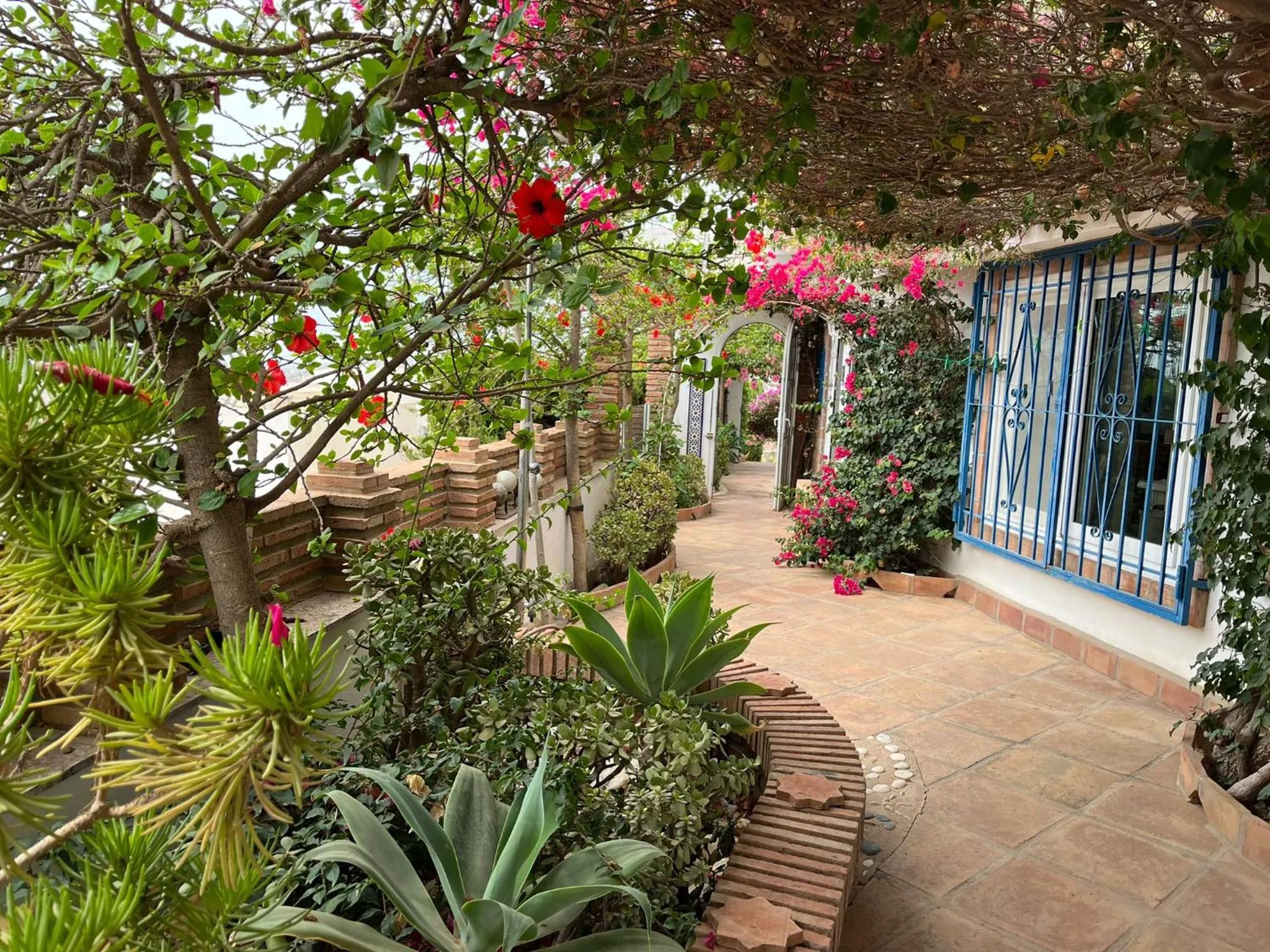 Garden in Casa Hermosa