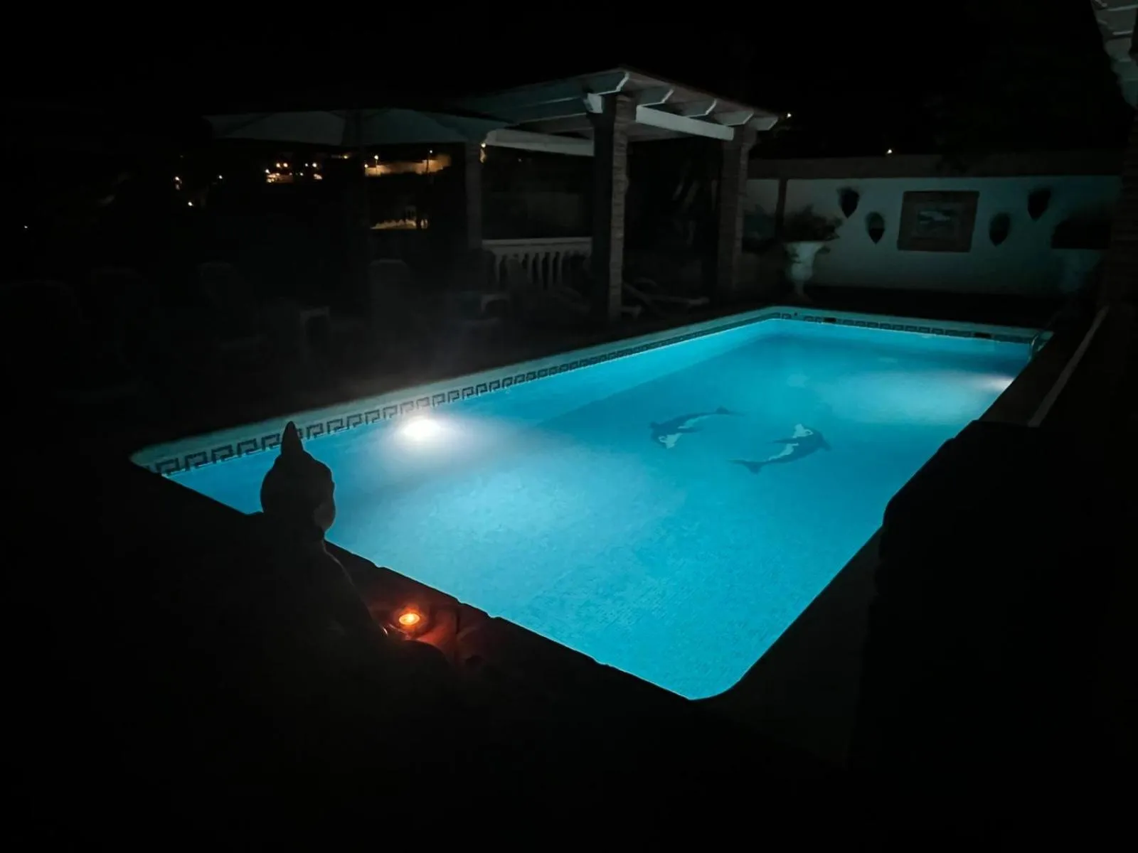 Swimming pool in Casa Hermosa