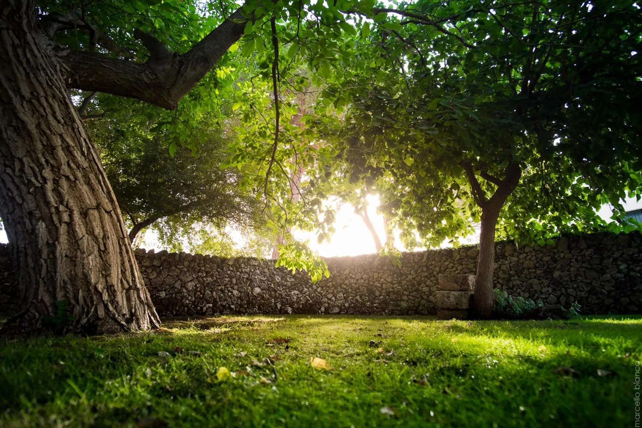 Garden in Masseria Degli Ulivi - Noto