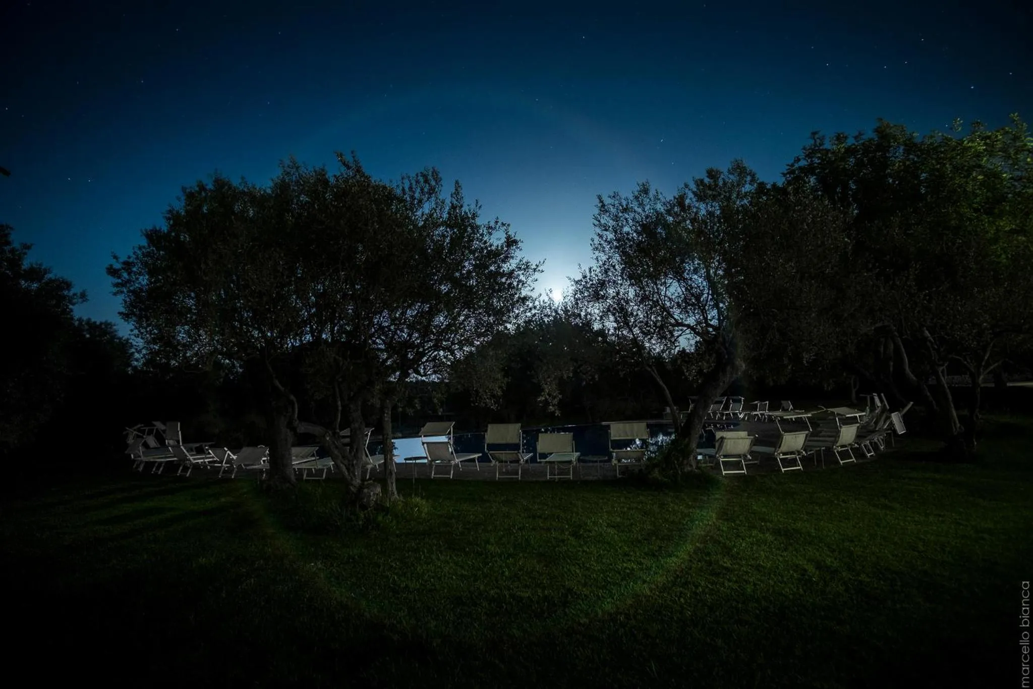 Garden in Masseria Degli Ulivi - Noto