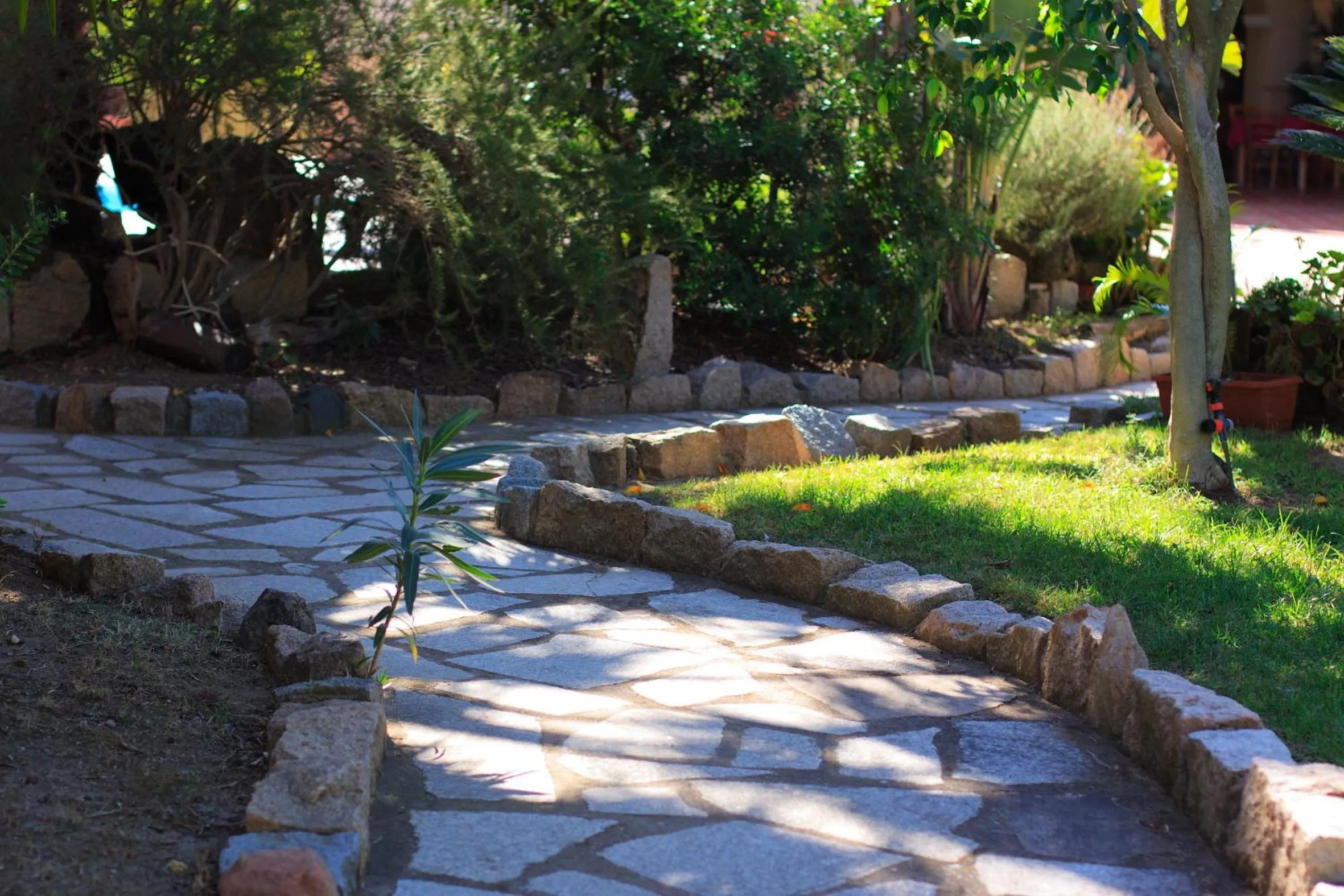 Other in Hotel L'Ulivo