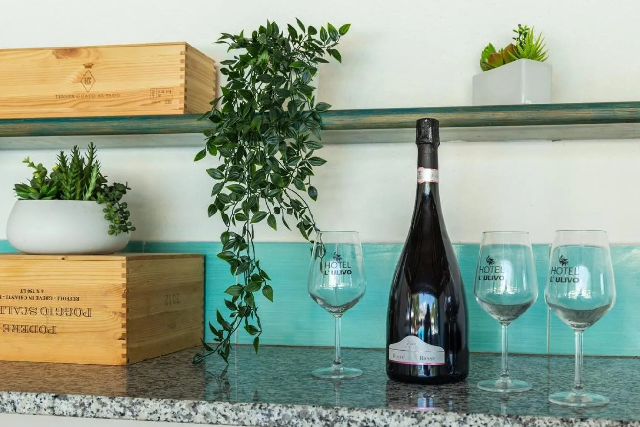 Hot Tub in Hotel L'Ulivo