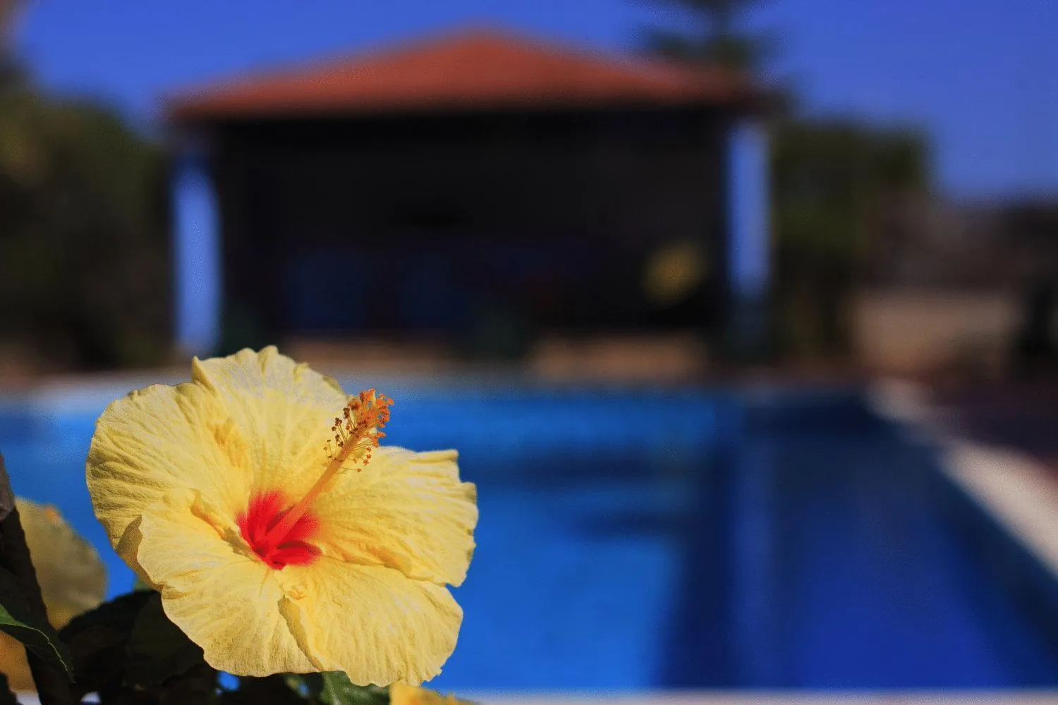 Other in Hotel L'Ulivo