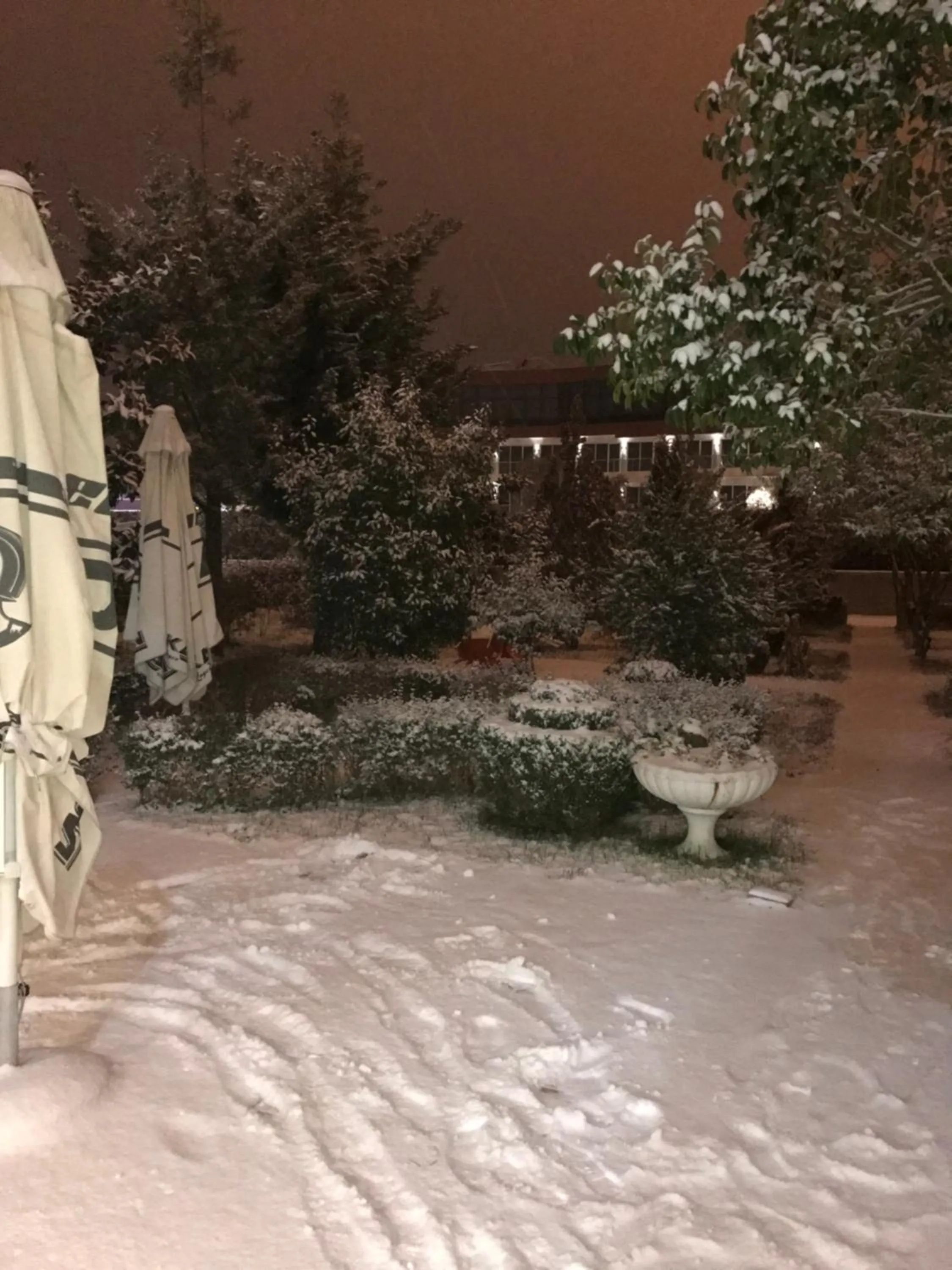 Garden view in Hotel Jurgen