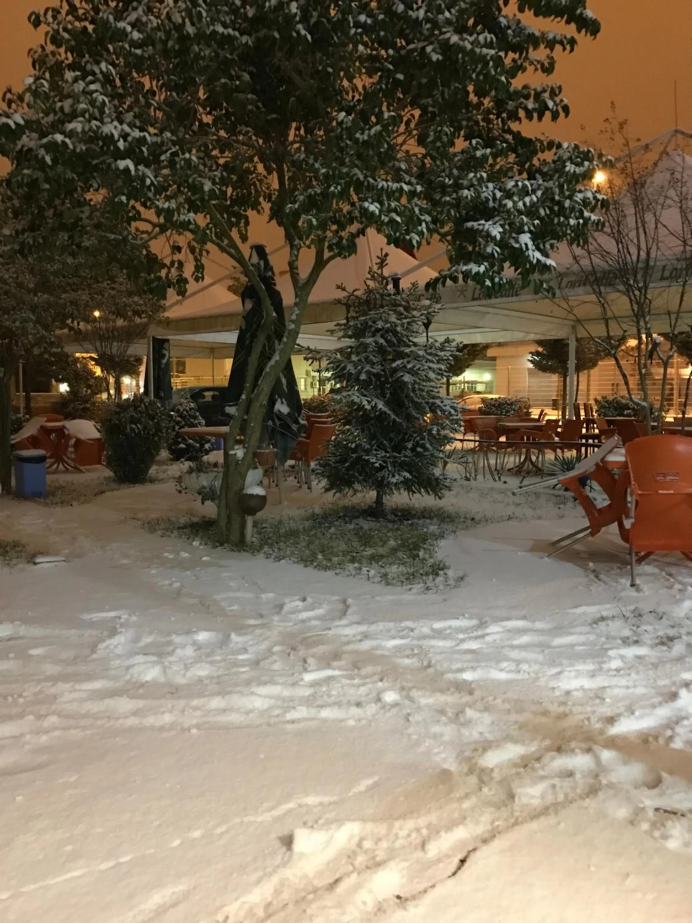 Garden view in Hotel Jurgen