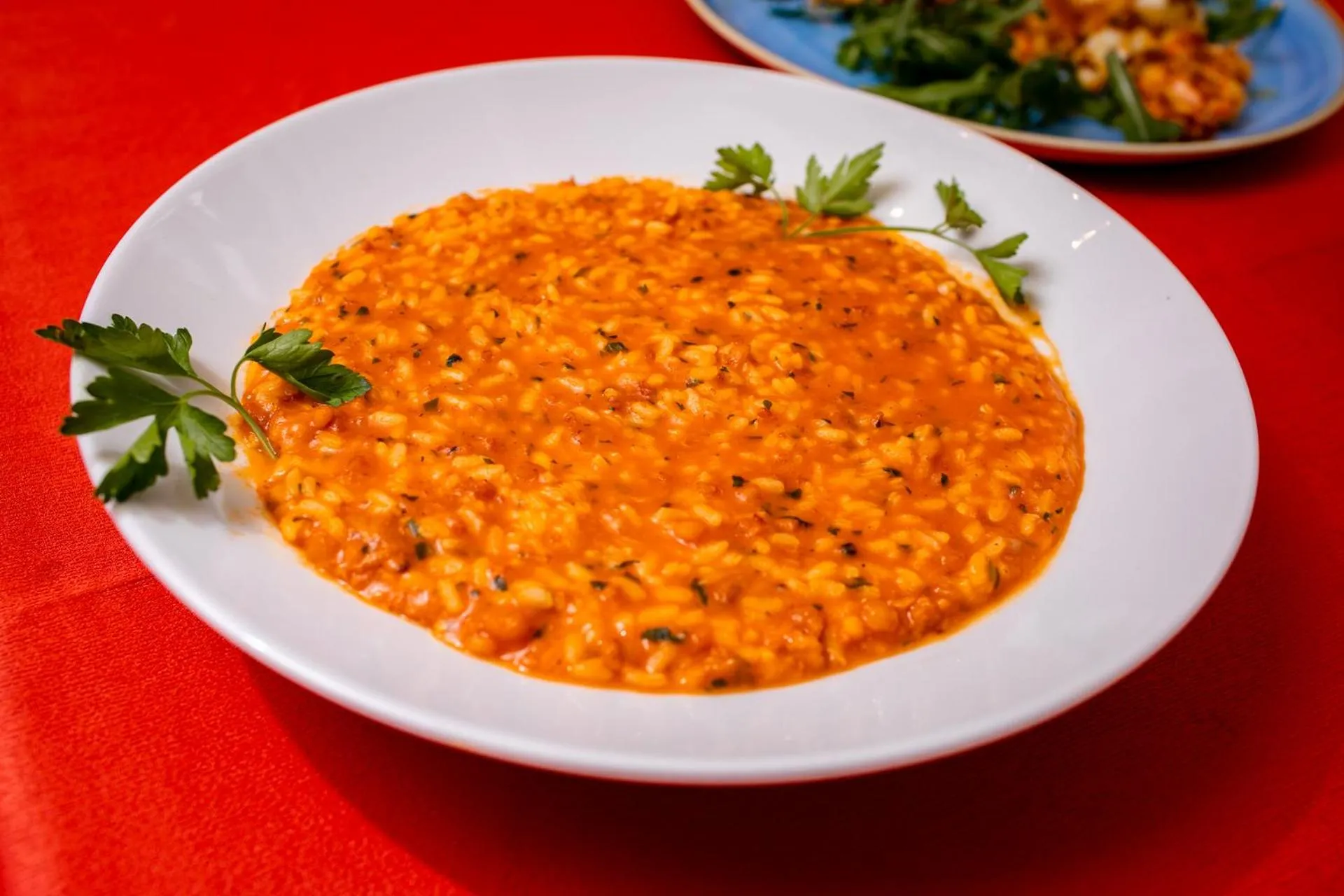 Restaurant/places to eat in New Bristol Sport Hotel