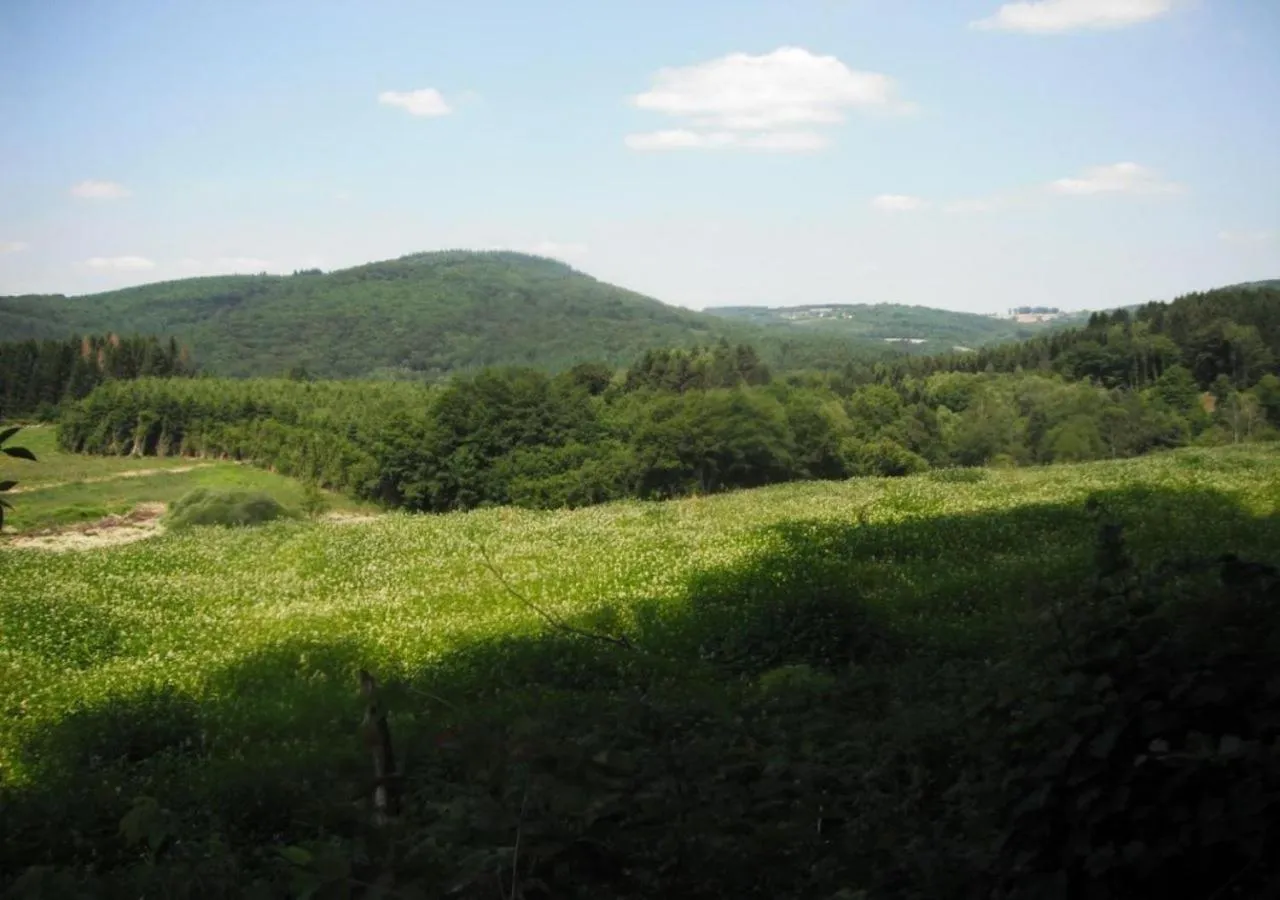 Natural landscape in Hotel de Bourgogne