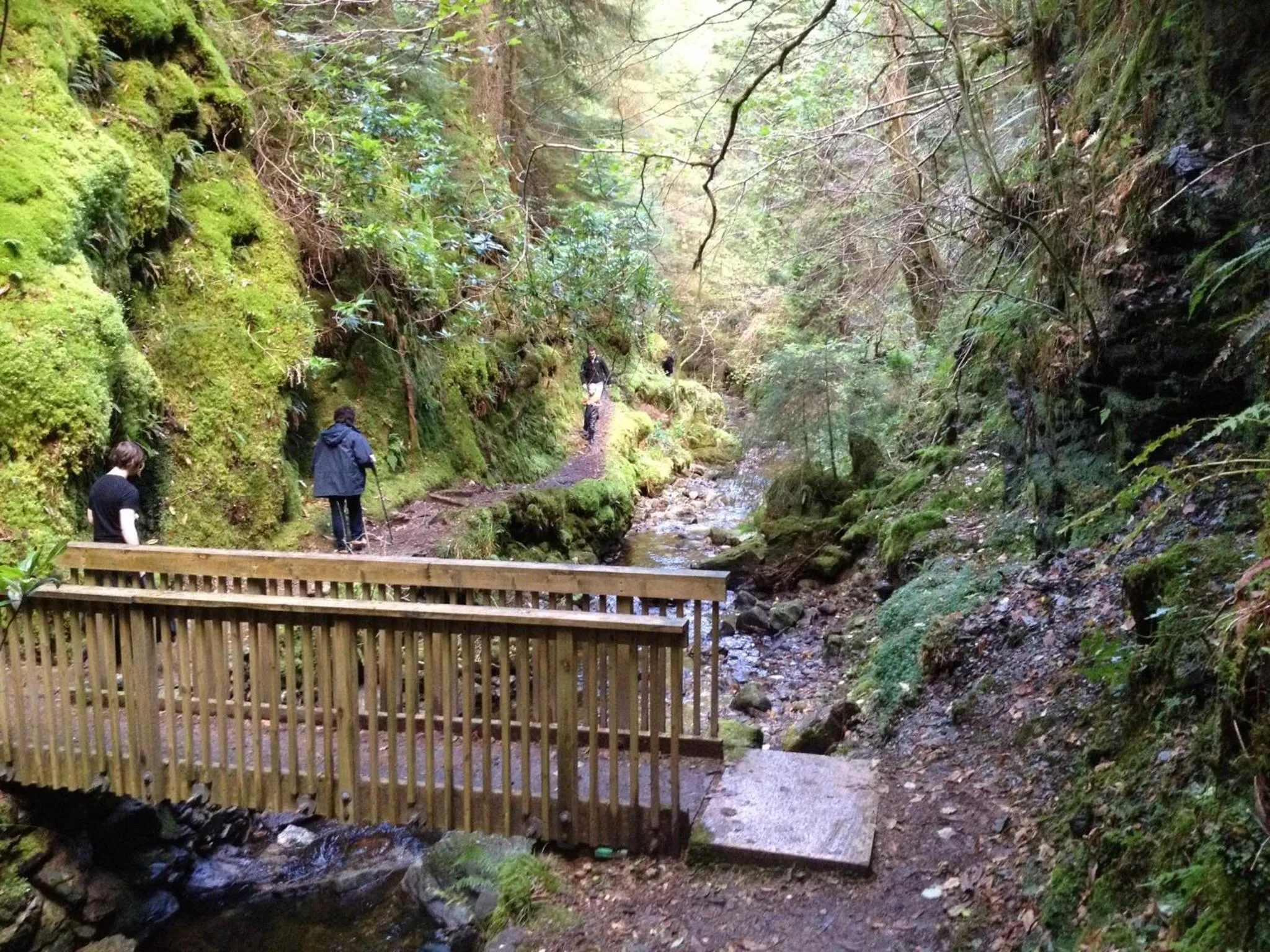 Other in Pucks Glen Lodges, Rashfield, by Dunoon