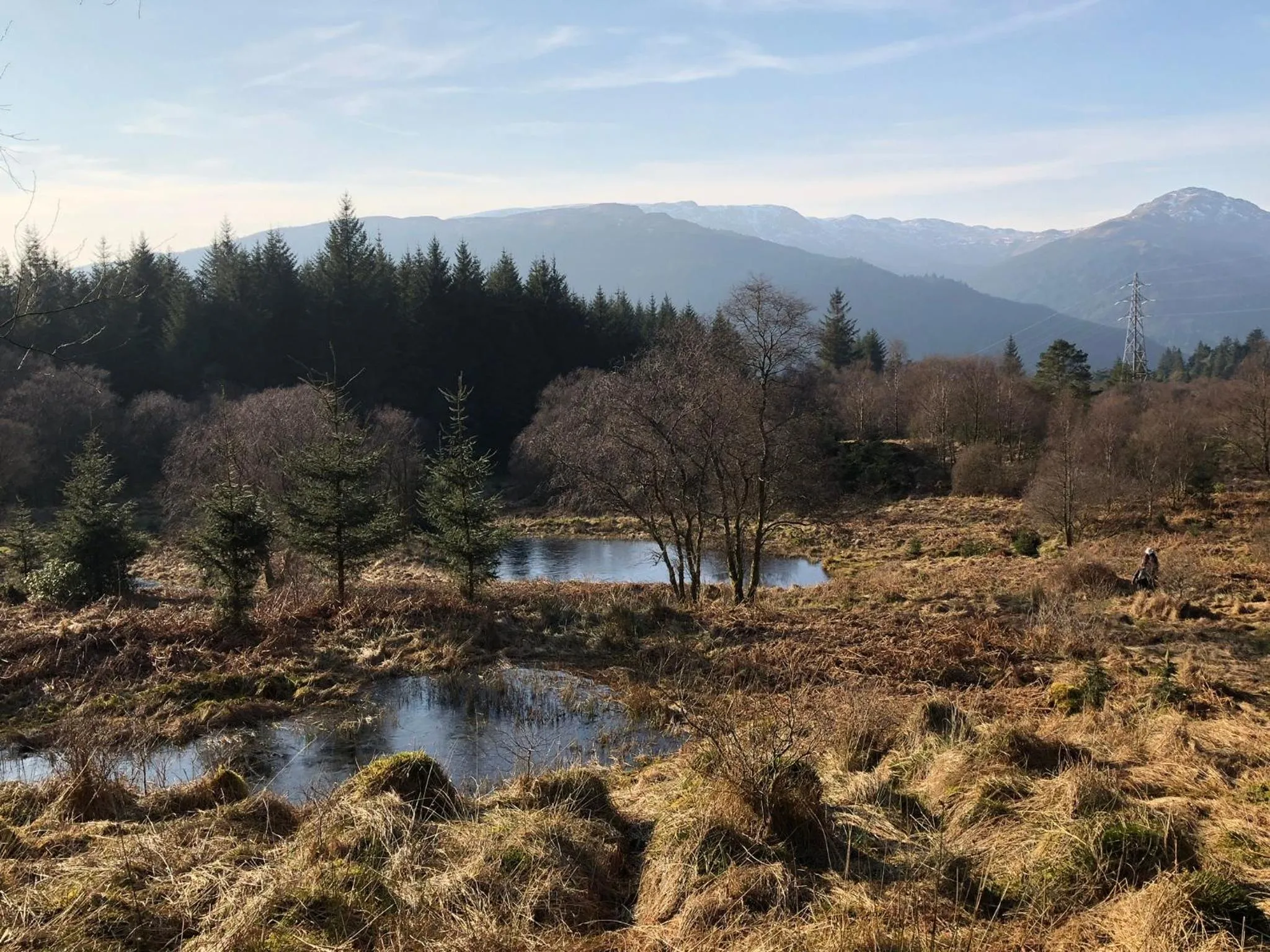Natural landscape in Pucks Glen Lodges, Rashfield, by Dunoon