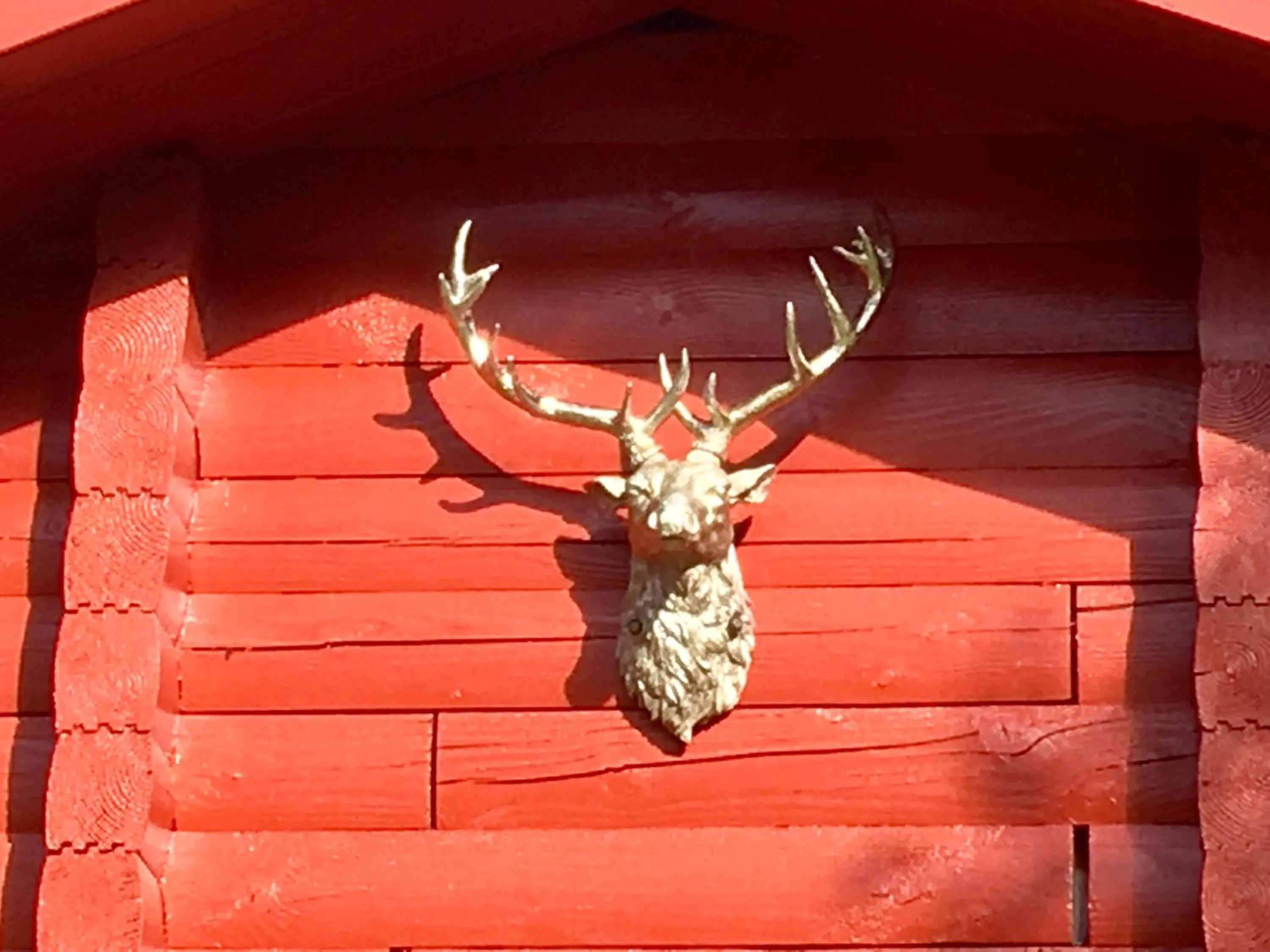 Decorative detail in Pucks Glen Lodges, Rashfield, by Dunoon