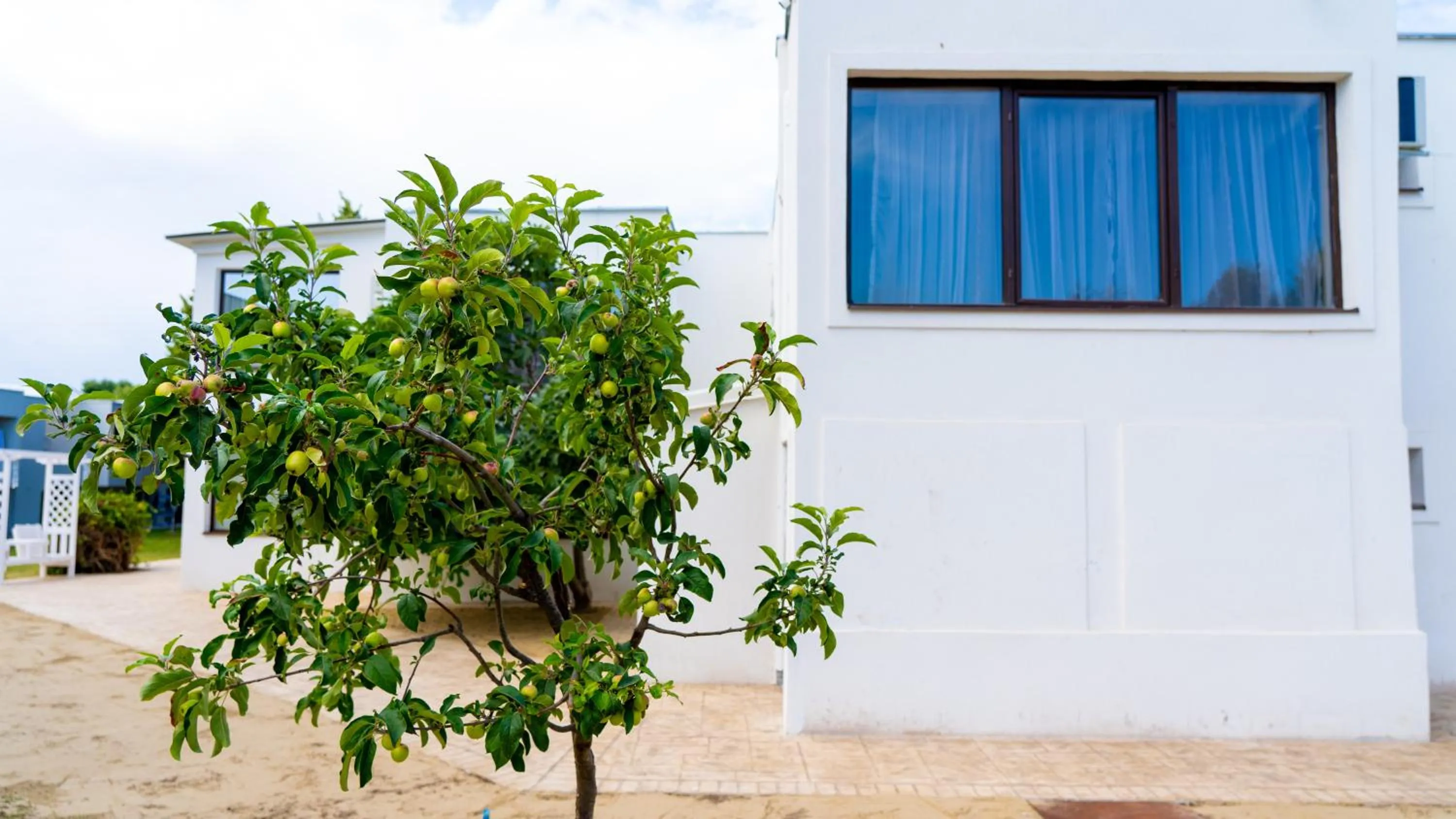 Property building in Avenue Venus - Avenue Hotels