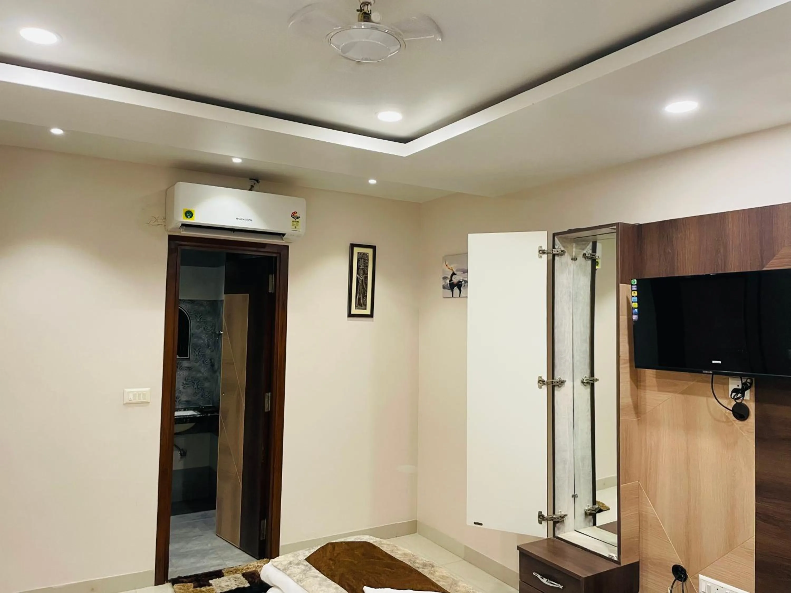 TV and multimedia in Hotel Singh Comfort Inn