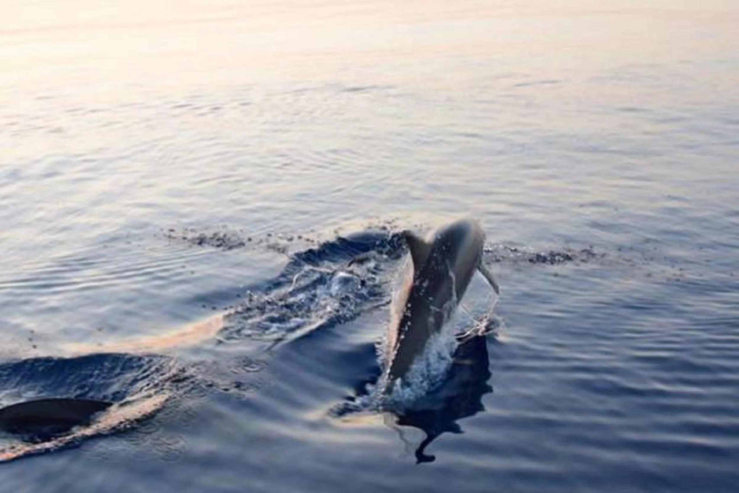 Day in Batuta Maldives Fourson