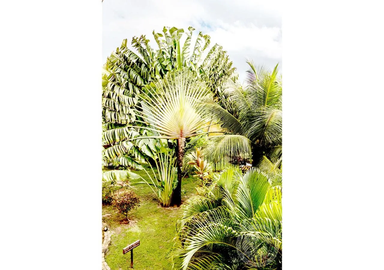 Property building in Pousada Cacimbinha - ePipa Hotéis