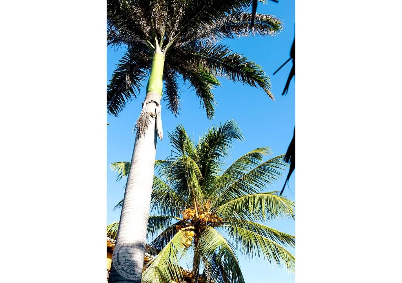 Property building in Pousada Cacimbinha - ePipa Hotéis