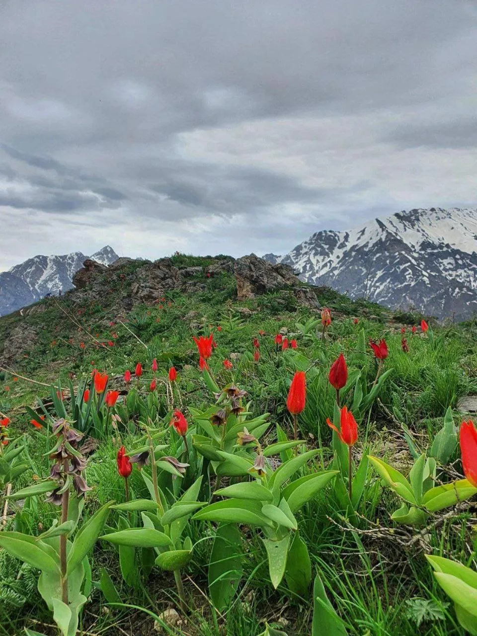 Hiking in ARCHAZOR Mountain Resort