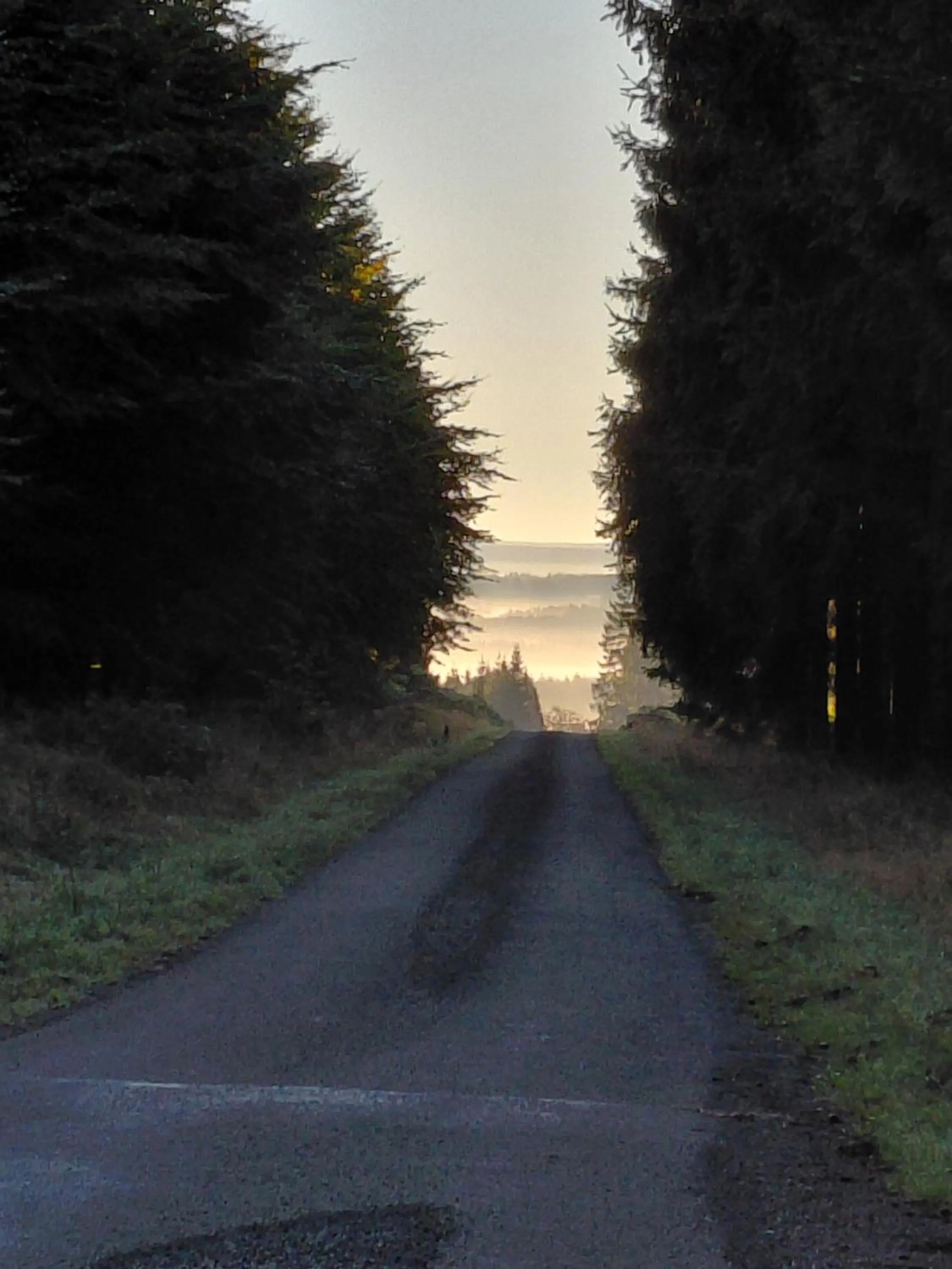 Hiking in DER Hirsch Hotel