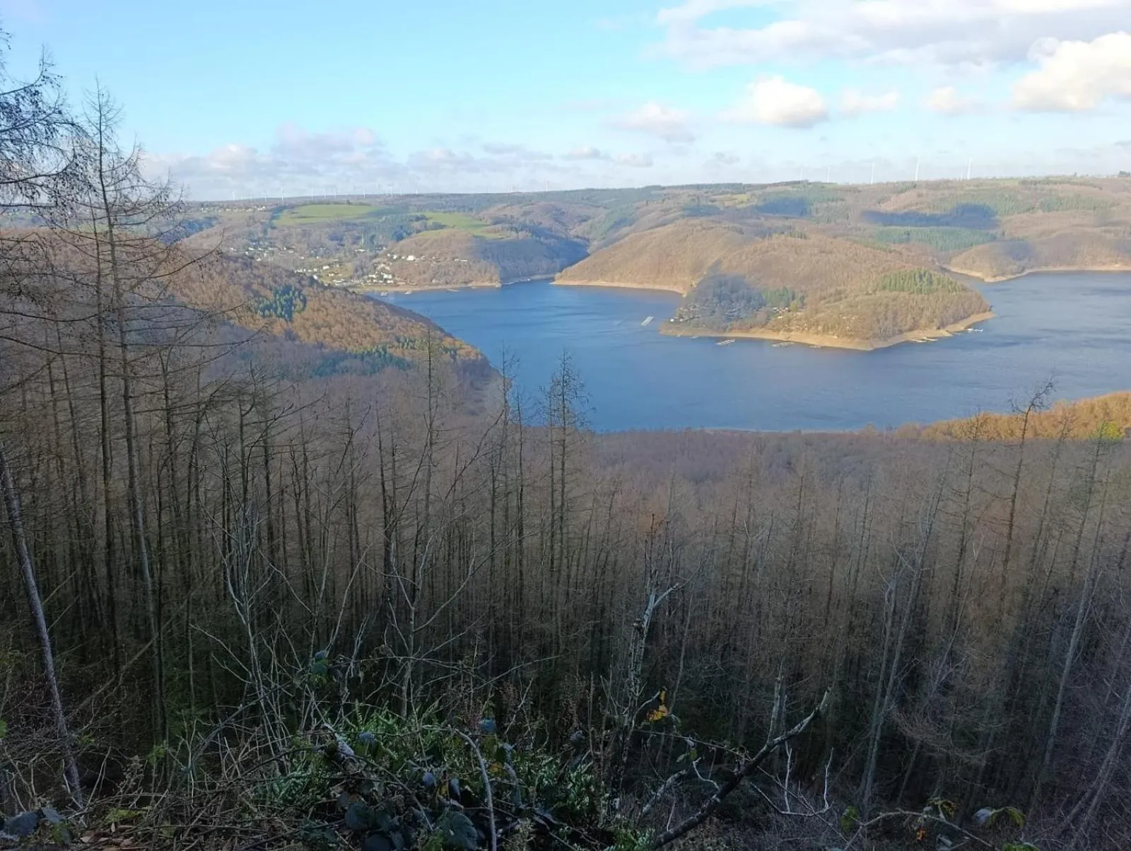 Natural landscape in DER Hirsch Hotel