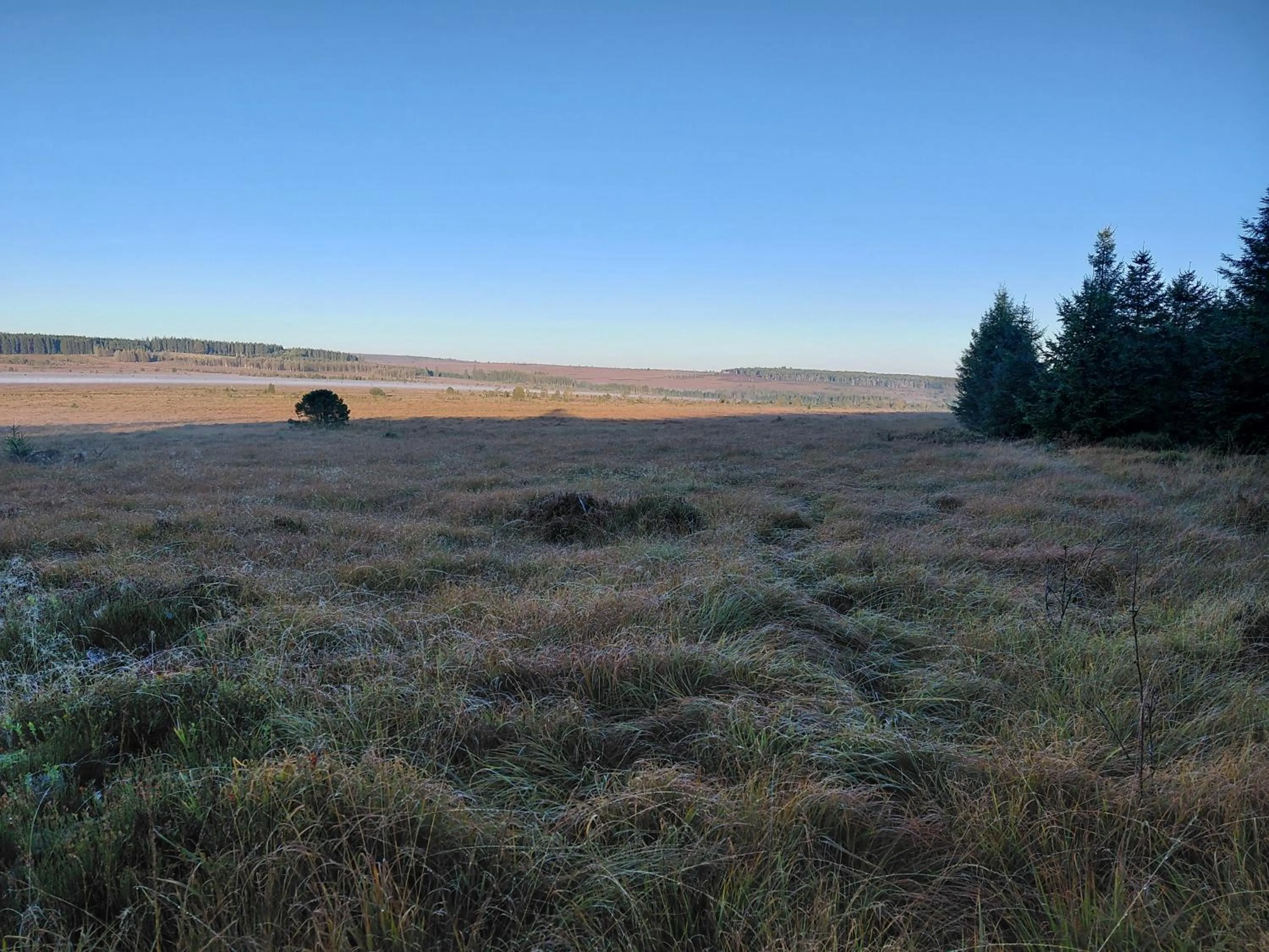 Day in DER Hirsch Hotel