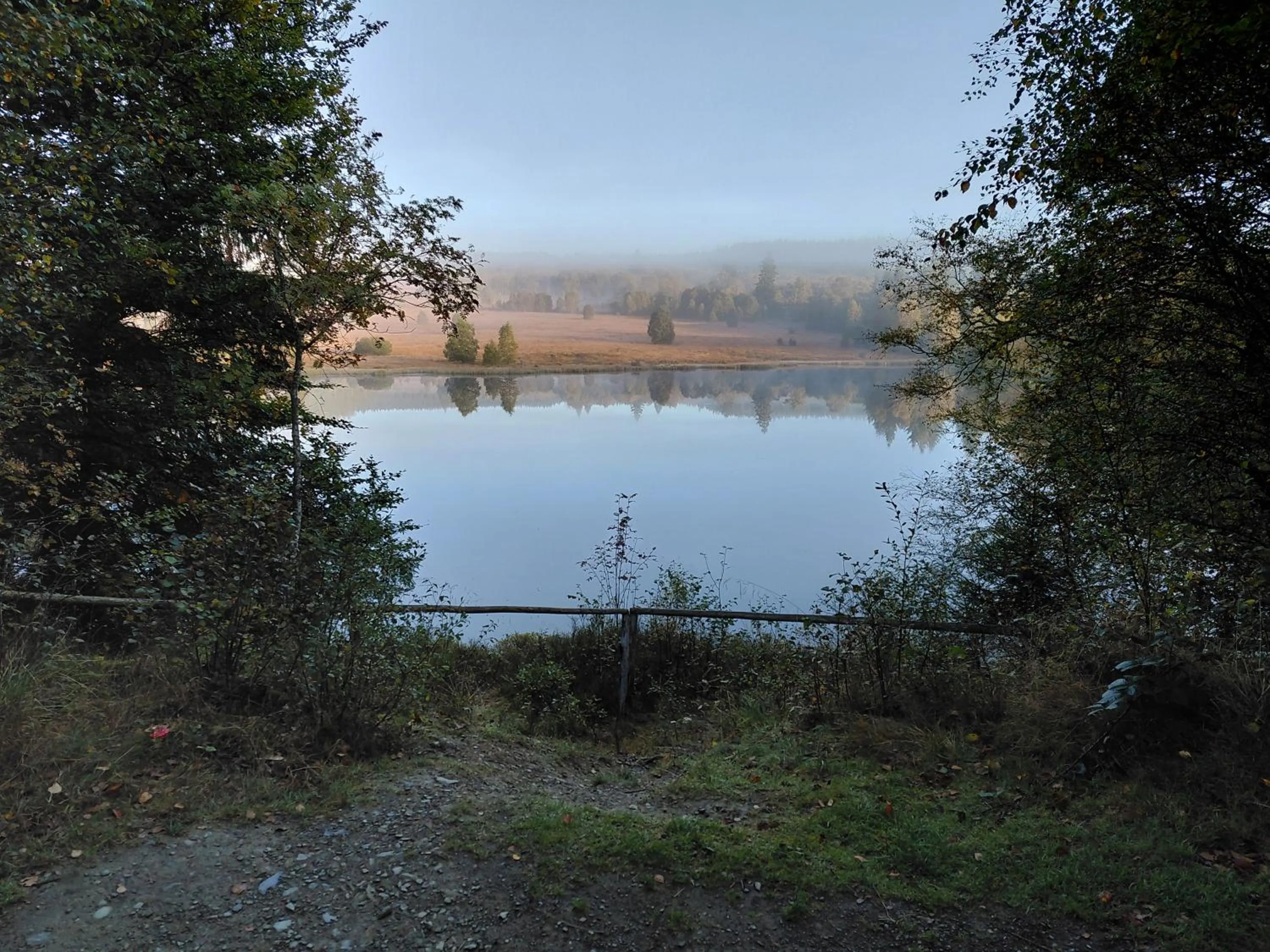 Natural landscape in DER Hirsch Hotel