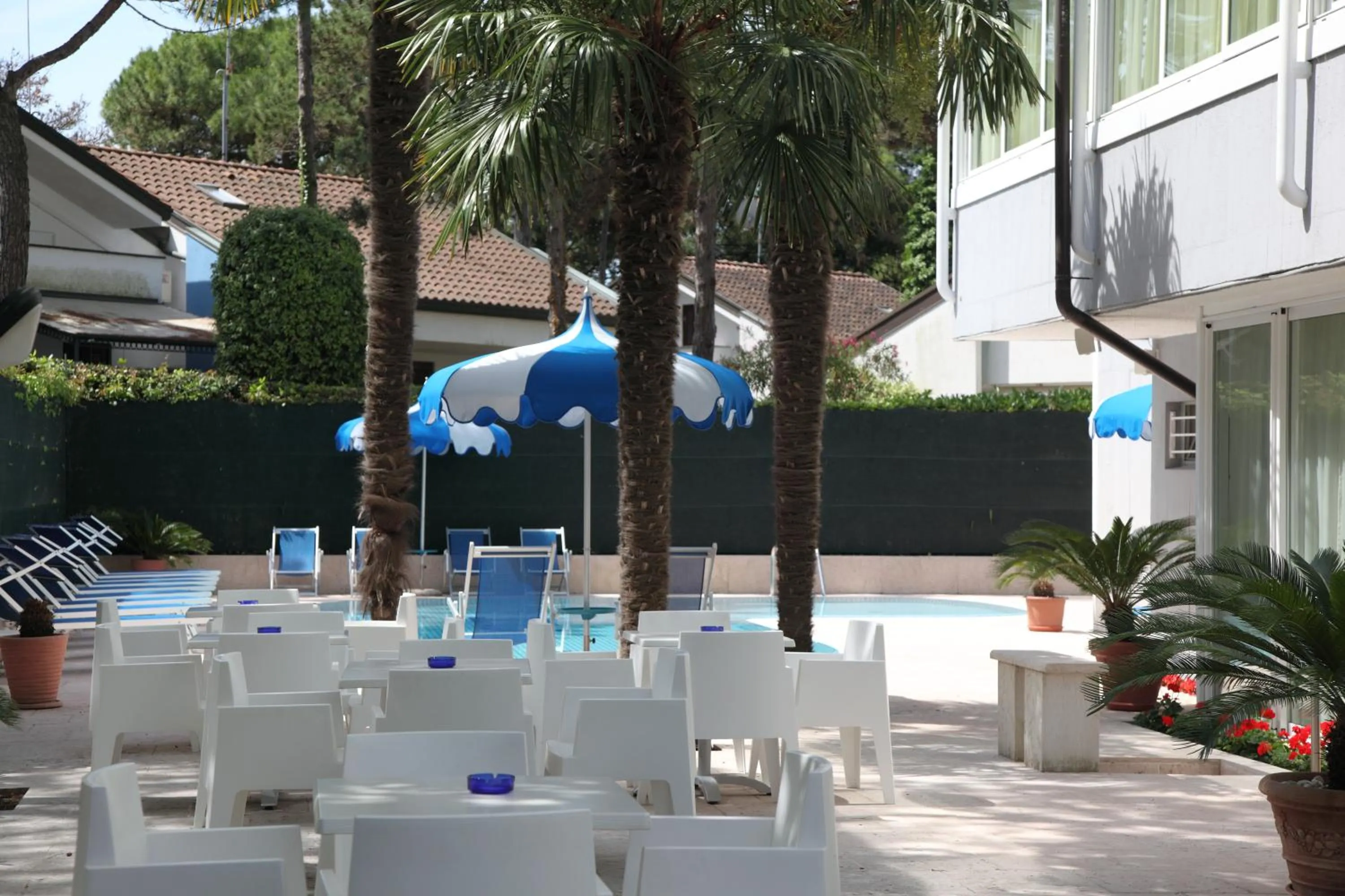 Garden in Hotel Carlton