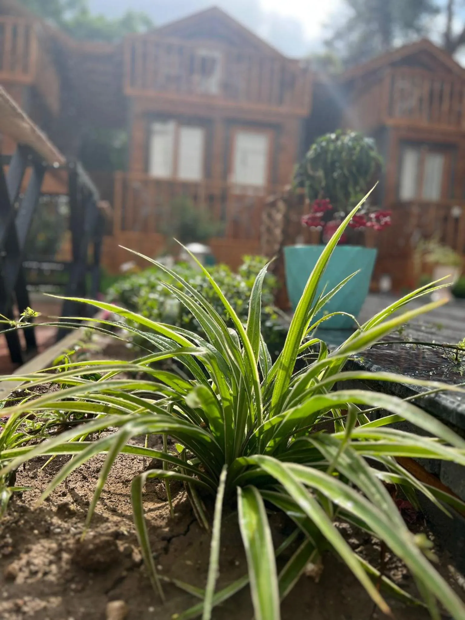 Garden in My Home Hotel Antalya City Center