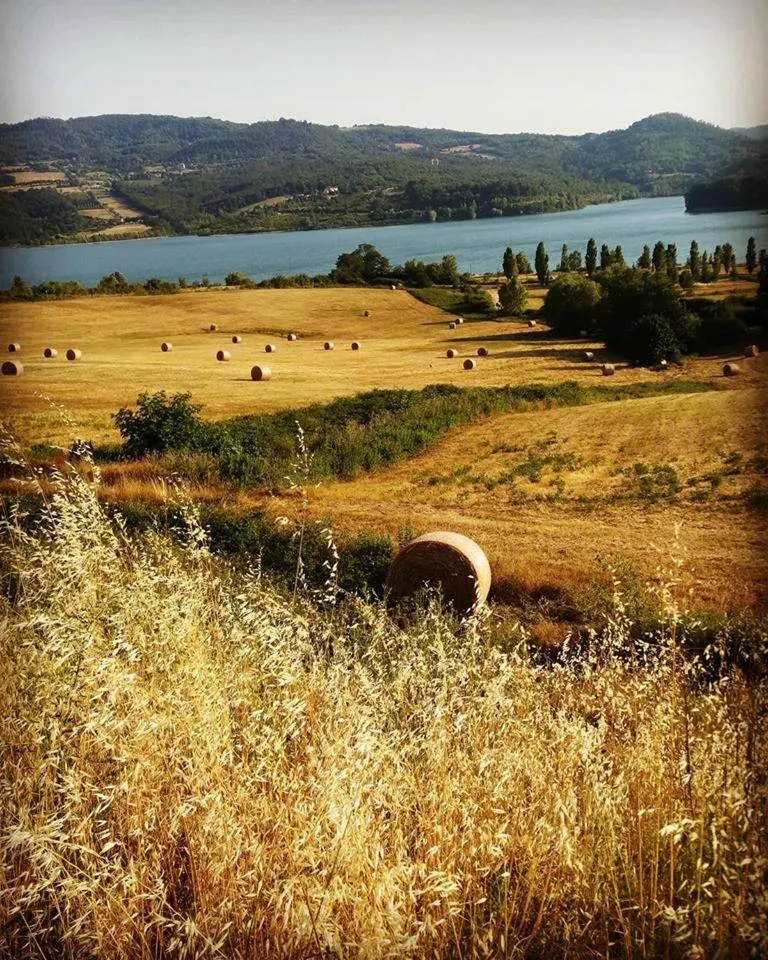 Natural landscape in Inn Hotel