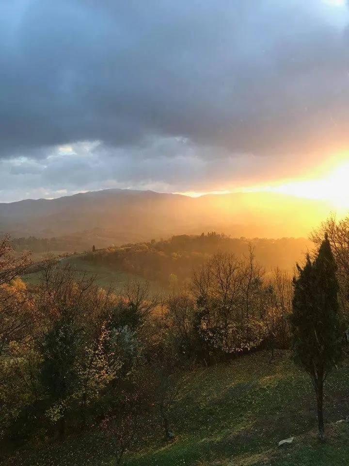 Natural landscape in Inn Hotel