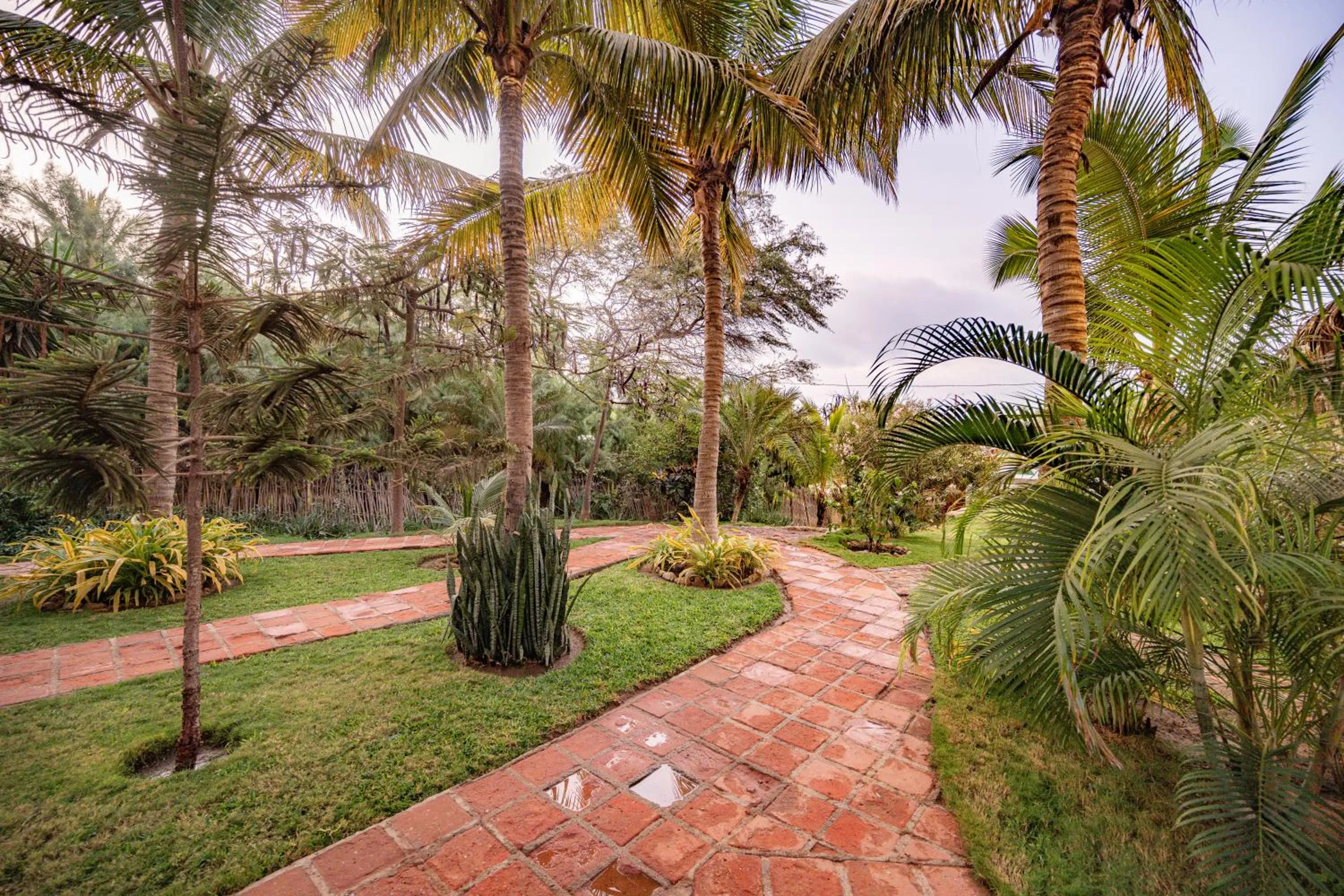 Garden in Hospedaje La Quebrada