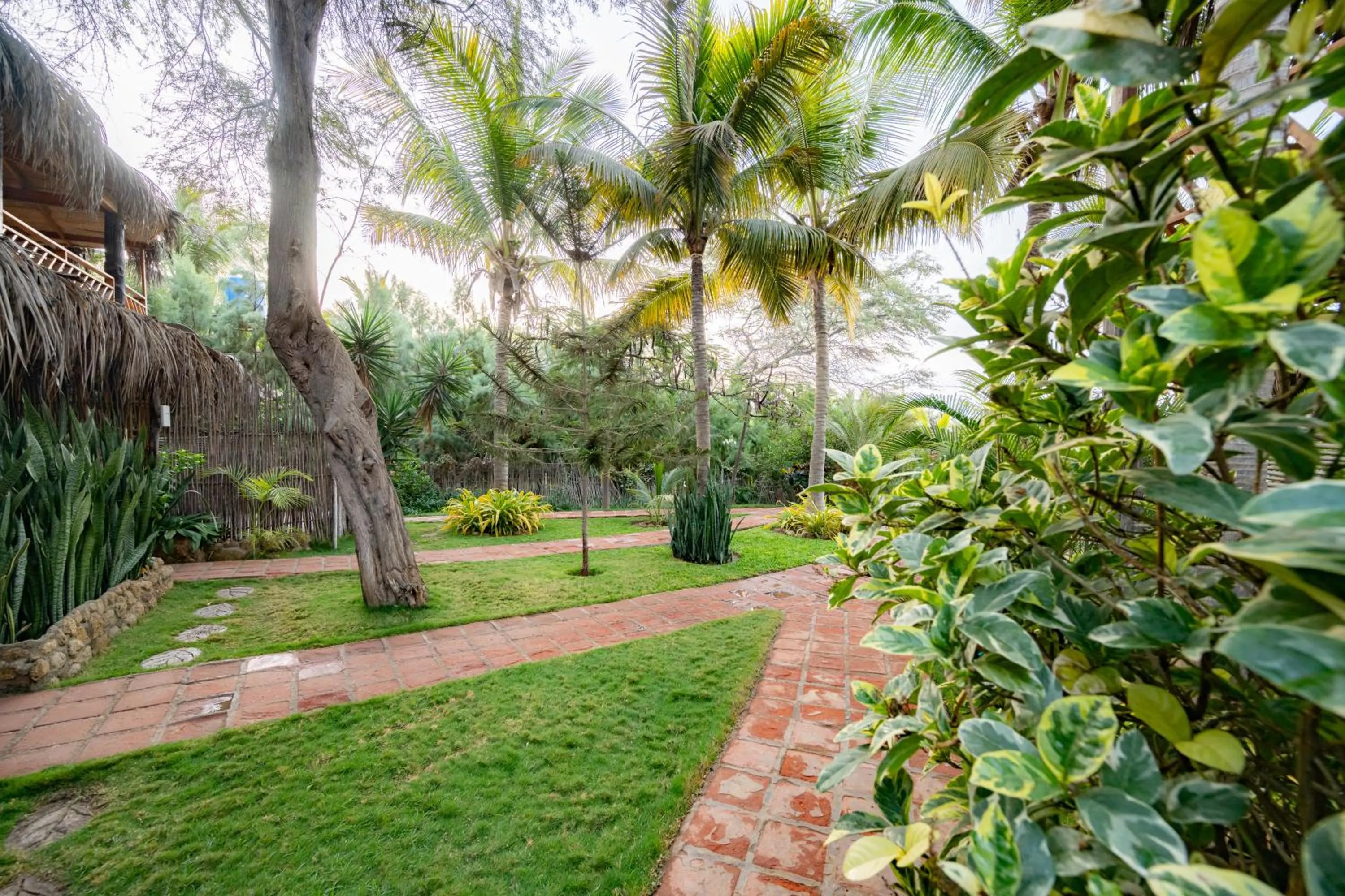Garden in Hospedaje La Quebrada