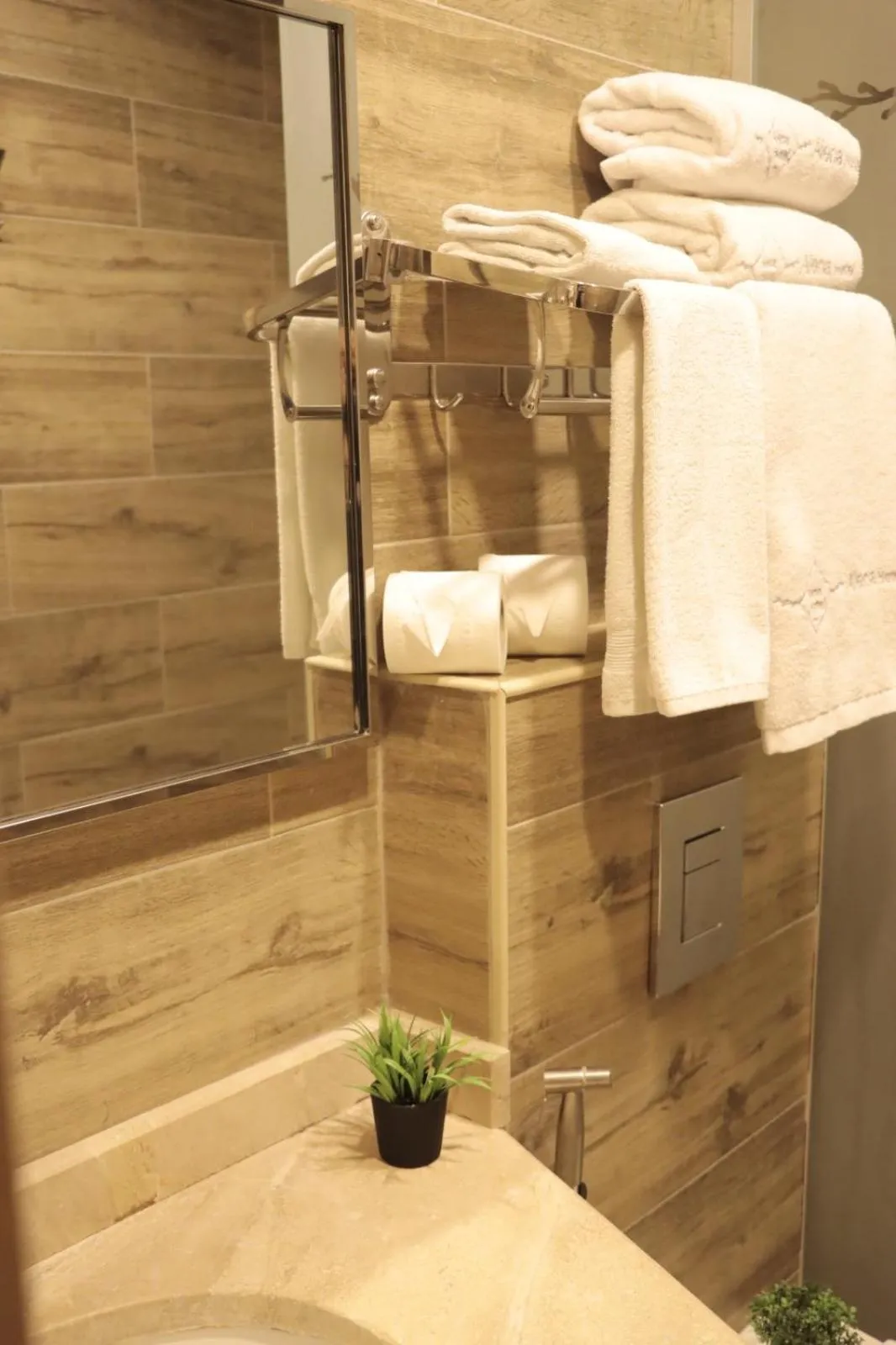 Shower in ALENA HOTEL