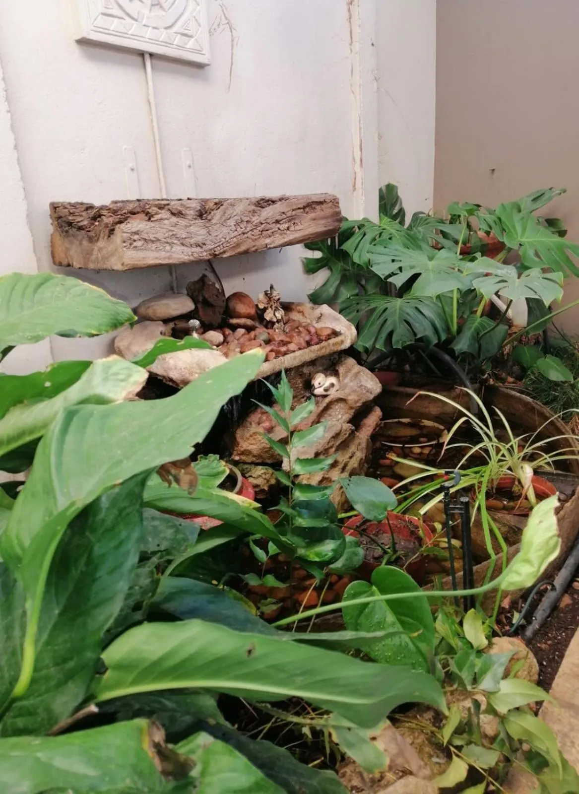 Die Tuis Huis Selfcatering NO LOADSHEDDING