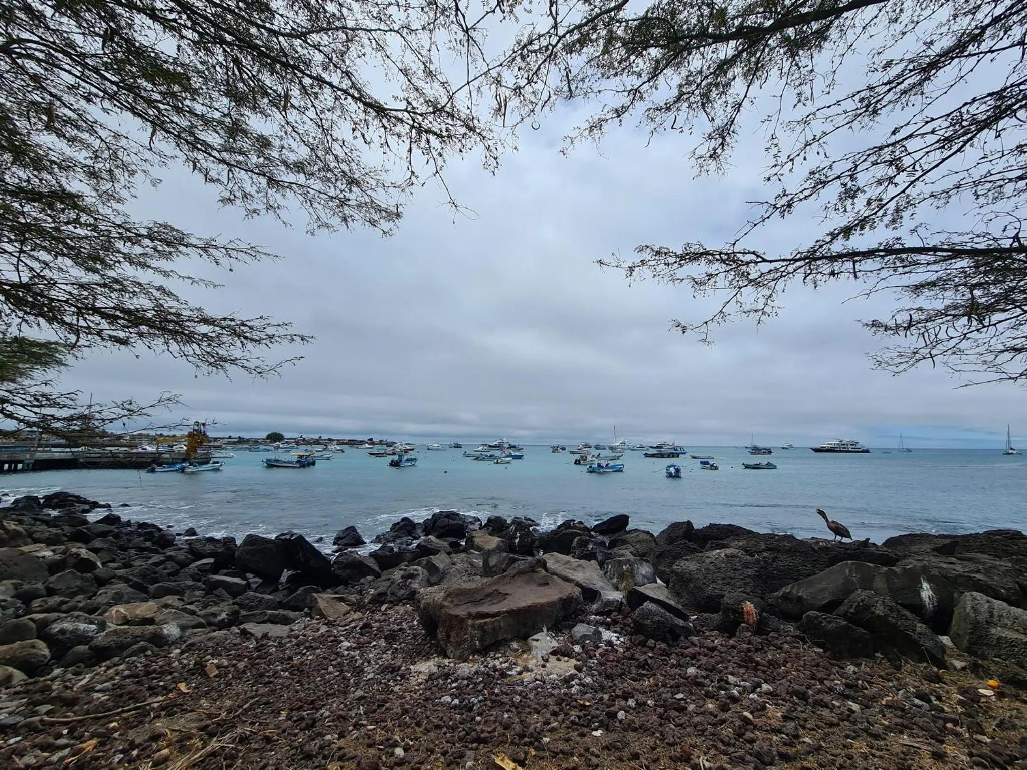 Nearby landmark in Hotel Indigo - Galapagos by IHG