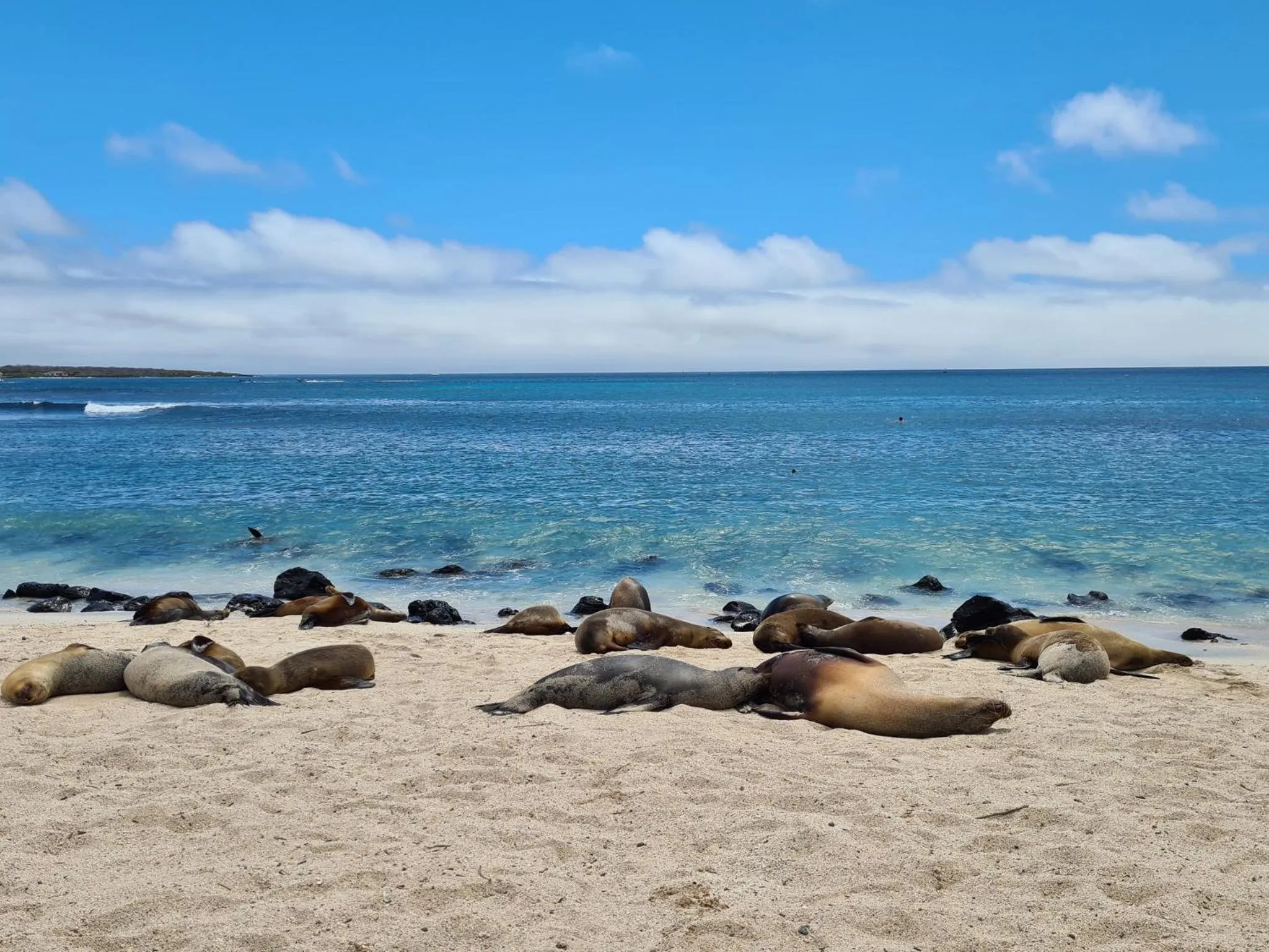 Nearby landmark in Hotel Indigo - Galapagos by IHG
