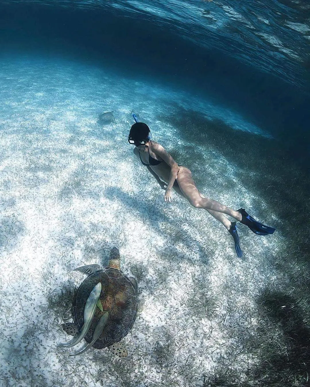 Snorkeling in Hotel Jardin Mahahual
