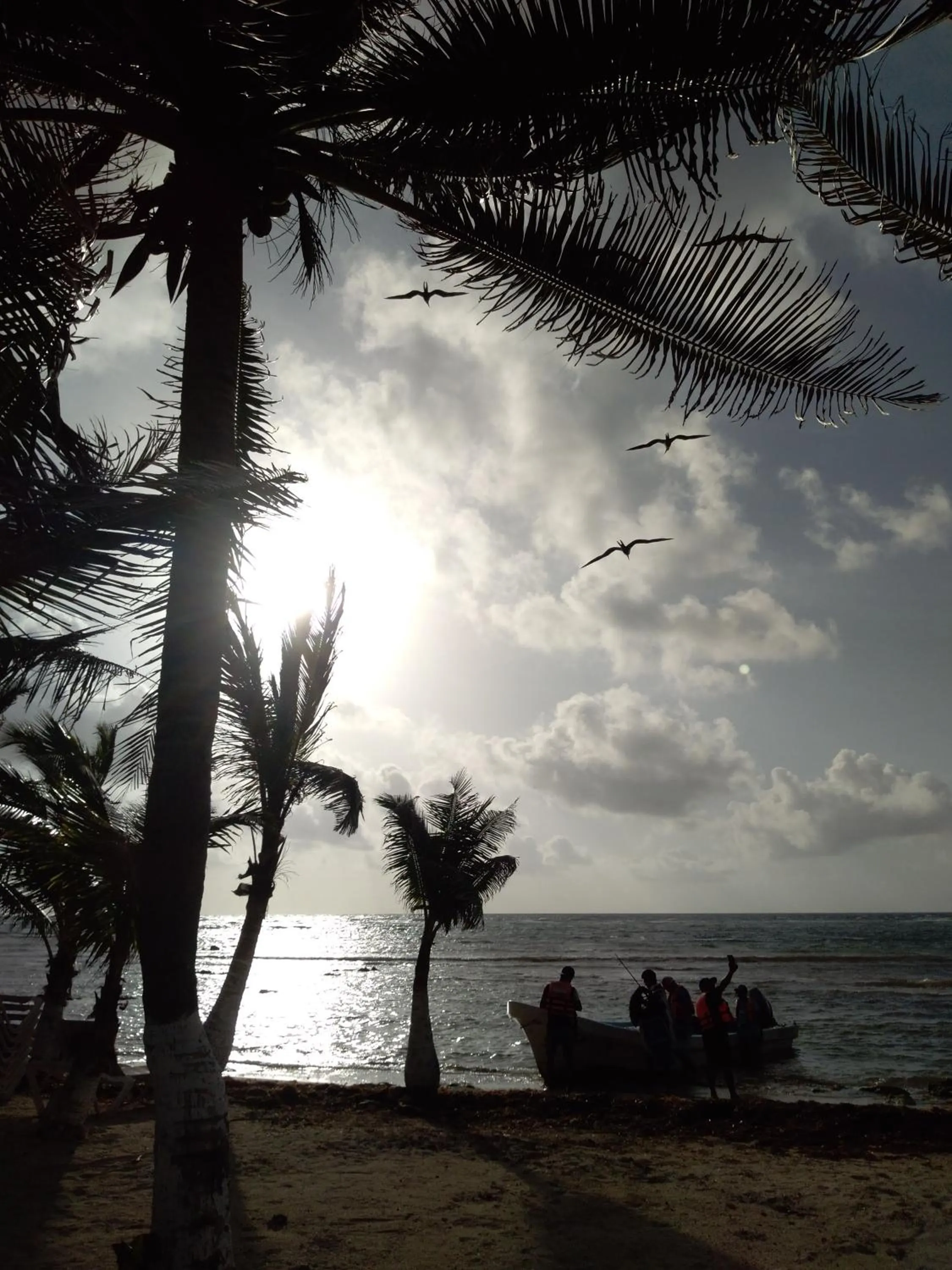 Hotel Jardin Mahahual