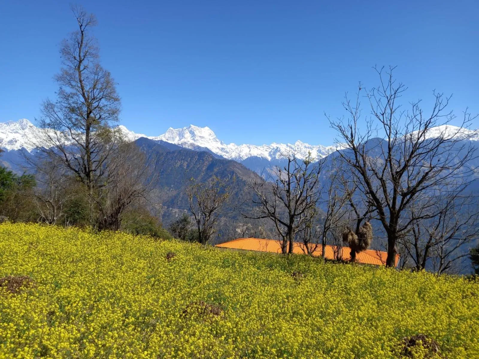 Natural landscape in OM The Divine Soul of Devbhumi